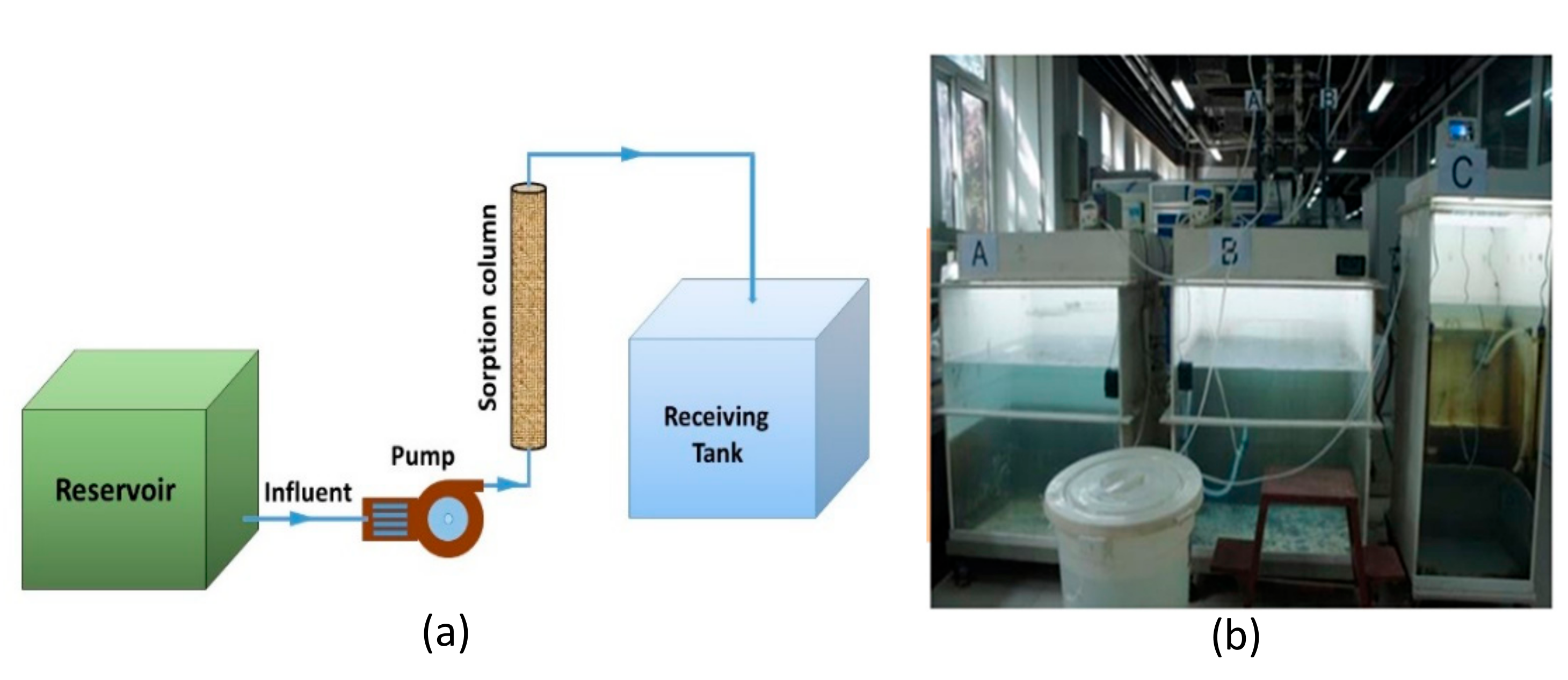 Water 12 00002 g001 Water 12 00002 g001