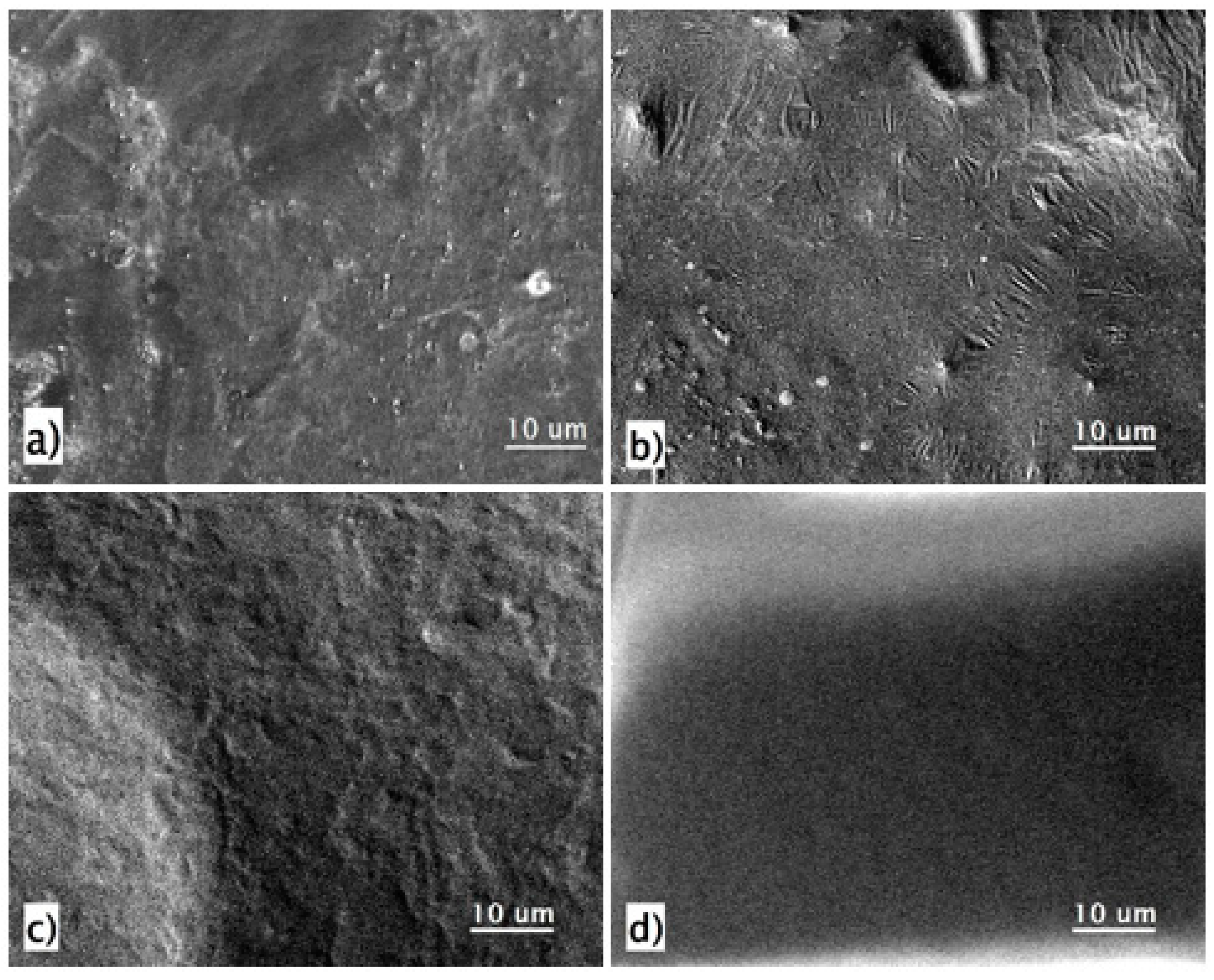 Tema De Lart Platja Paret De Vinil