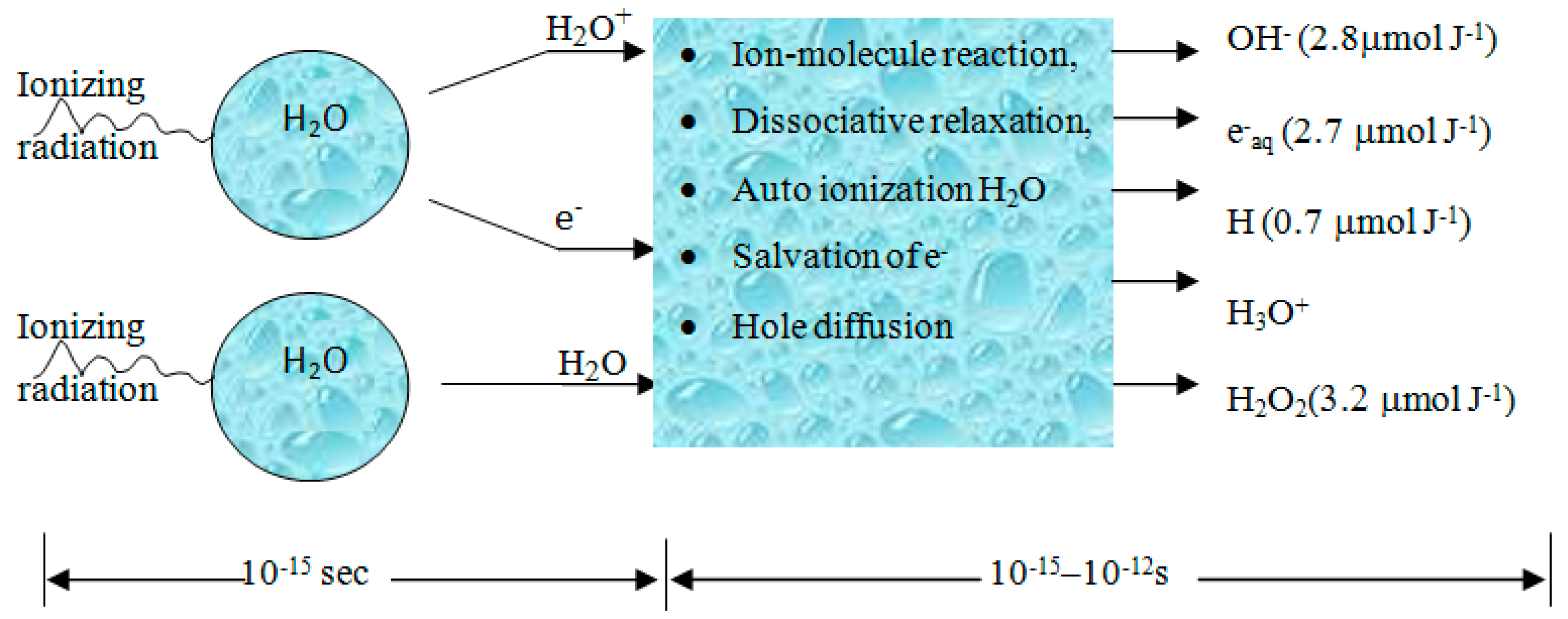 Water Free FullText Application of Ionizing Radiation in