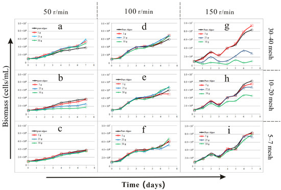 Water Free Full Text Effect Of Physical Factors On The Growth Of Chlorella Vulgaris On Enriched Media Using The Methods Of Orthogonal Analysis And Response Surface Methodology Html