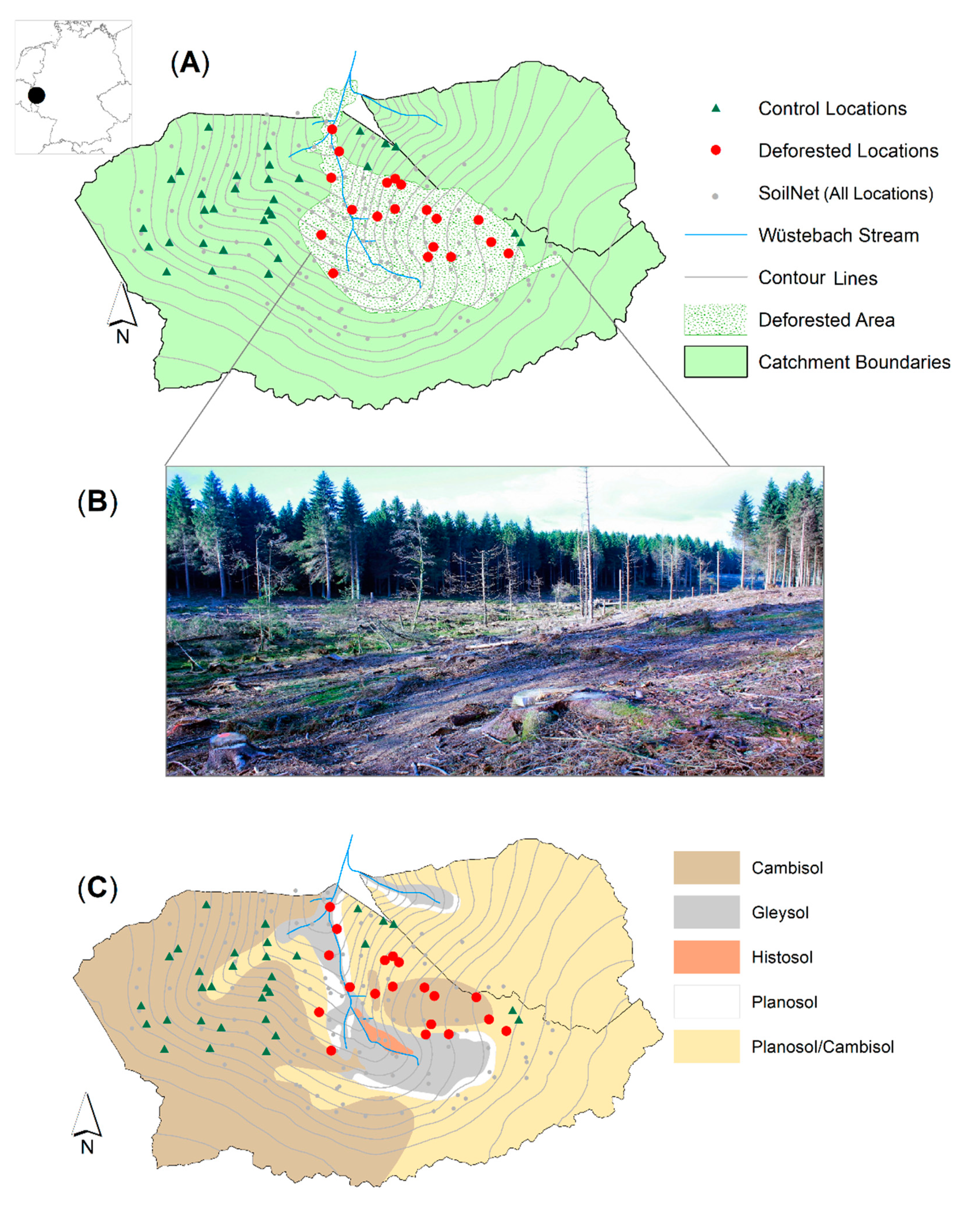 Water | Free Full-Text | Effects of Deforestation on Water Flow in the  Vadose Zone