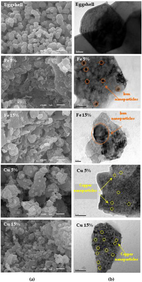 Water | Free Full-Text | Eggshell-supported Catalysts For The Advanced Oxidation Treatment Of Humic Acid Polluted Wastewaters | HTML Water | Free Full-Text | Eggshell-supported Catalysts For The Advanced Oxidation Treatment Of Humic Acid Polluted Wastewaters | HTML