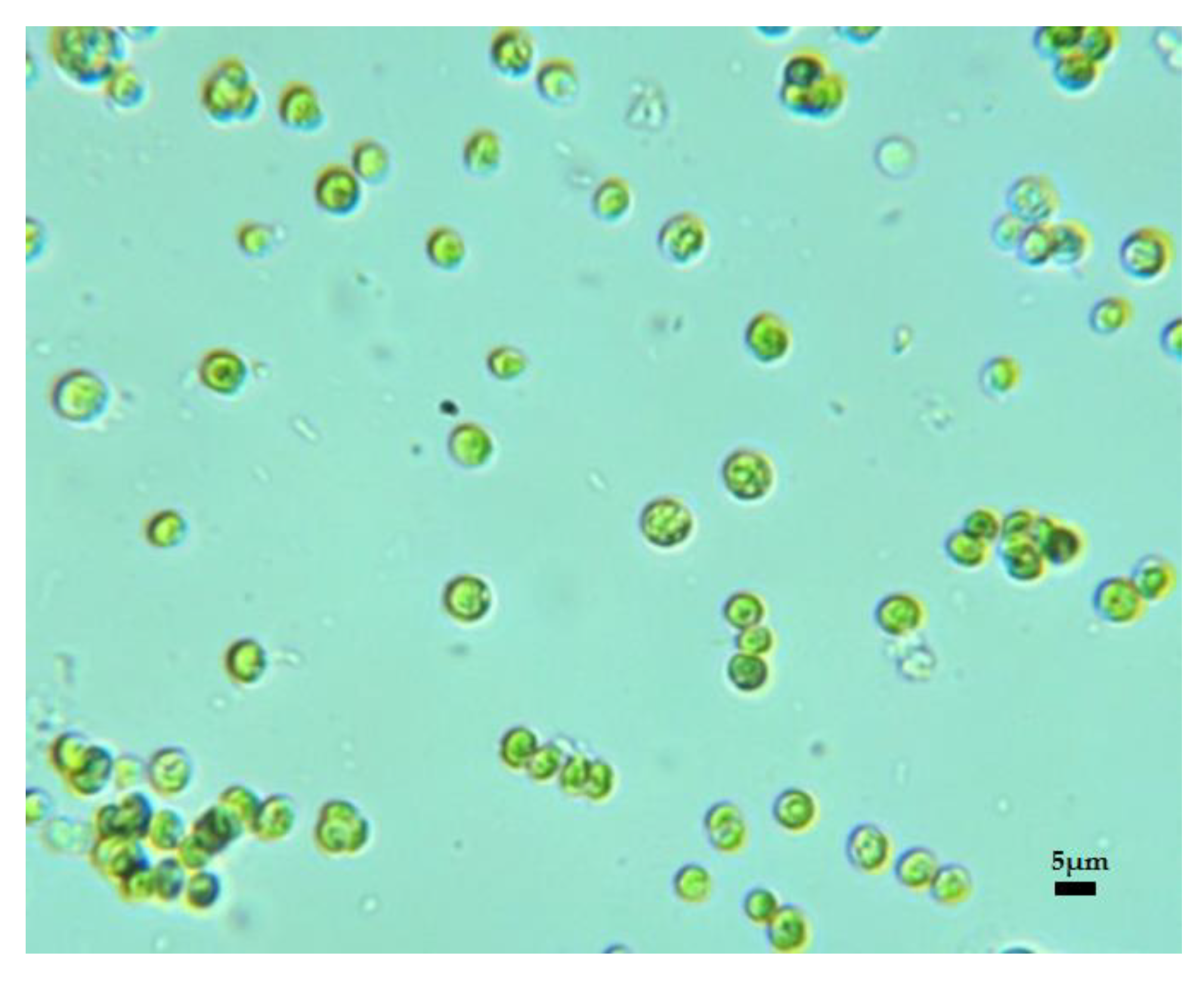 Water 12 00106 g001 Water 12 00106 g001