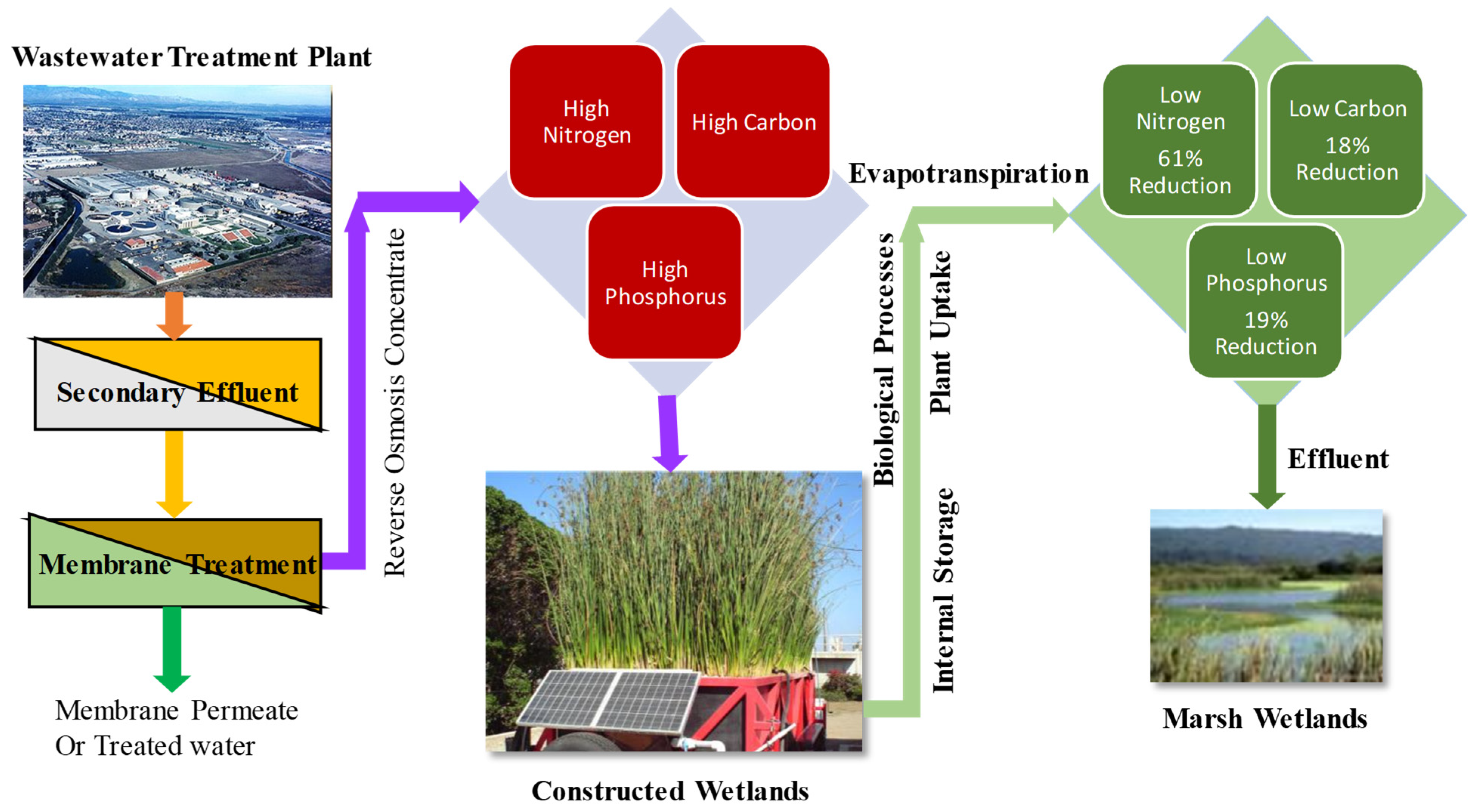 Water Free Full Text Natural Treatment Of High Strength Reverse Osmosis Concentrate By Constructed Wetlands For Reclaimed Water Use Html