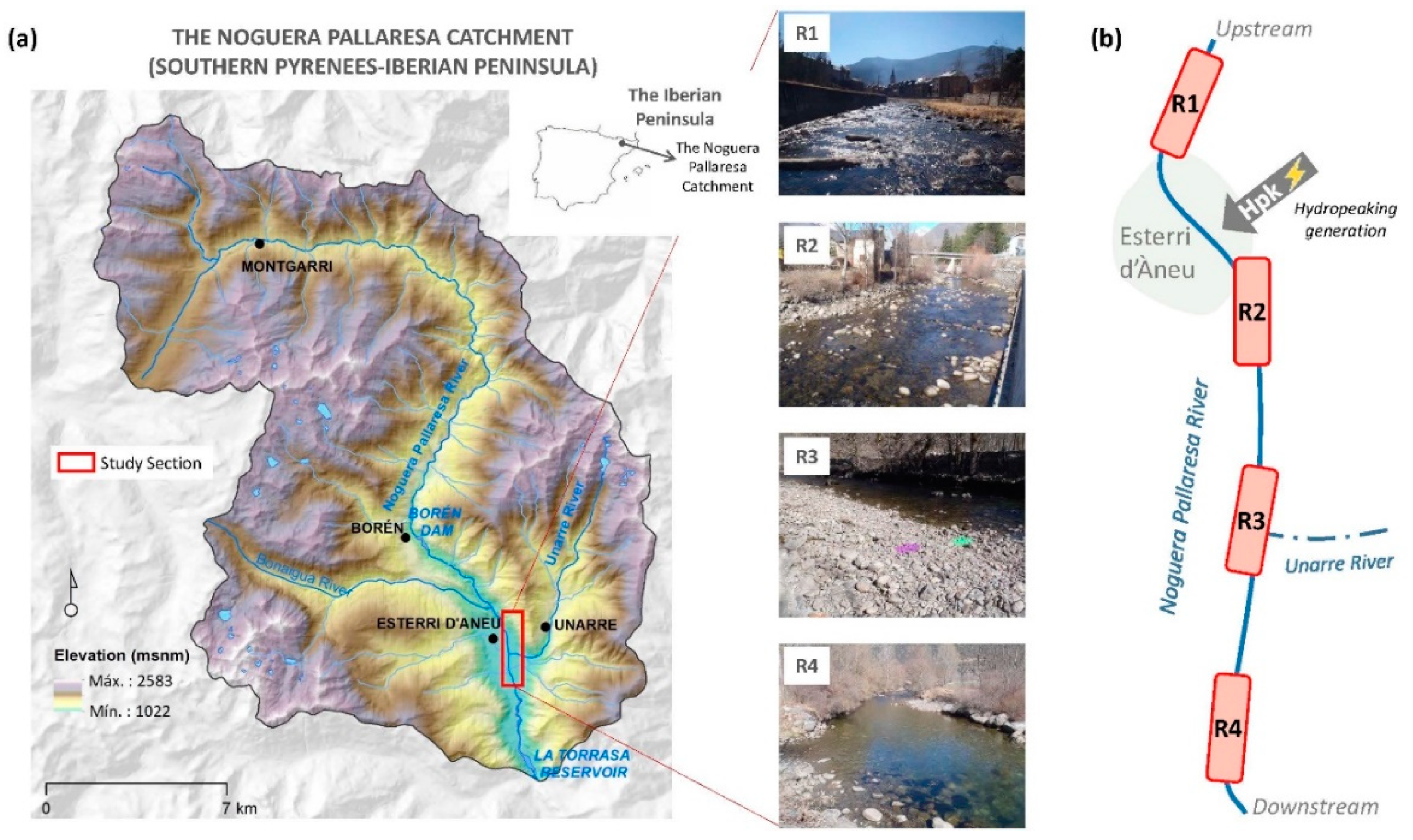 Water 12 00178 g001 Water 12 00178 g001