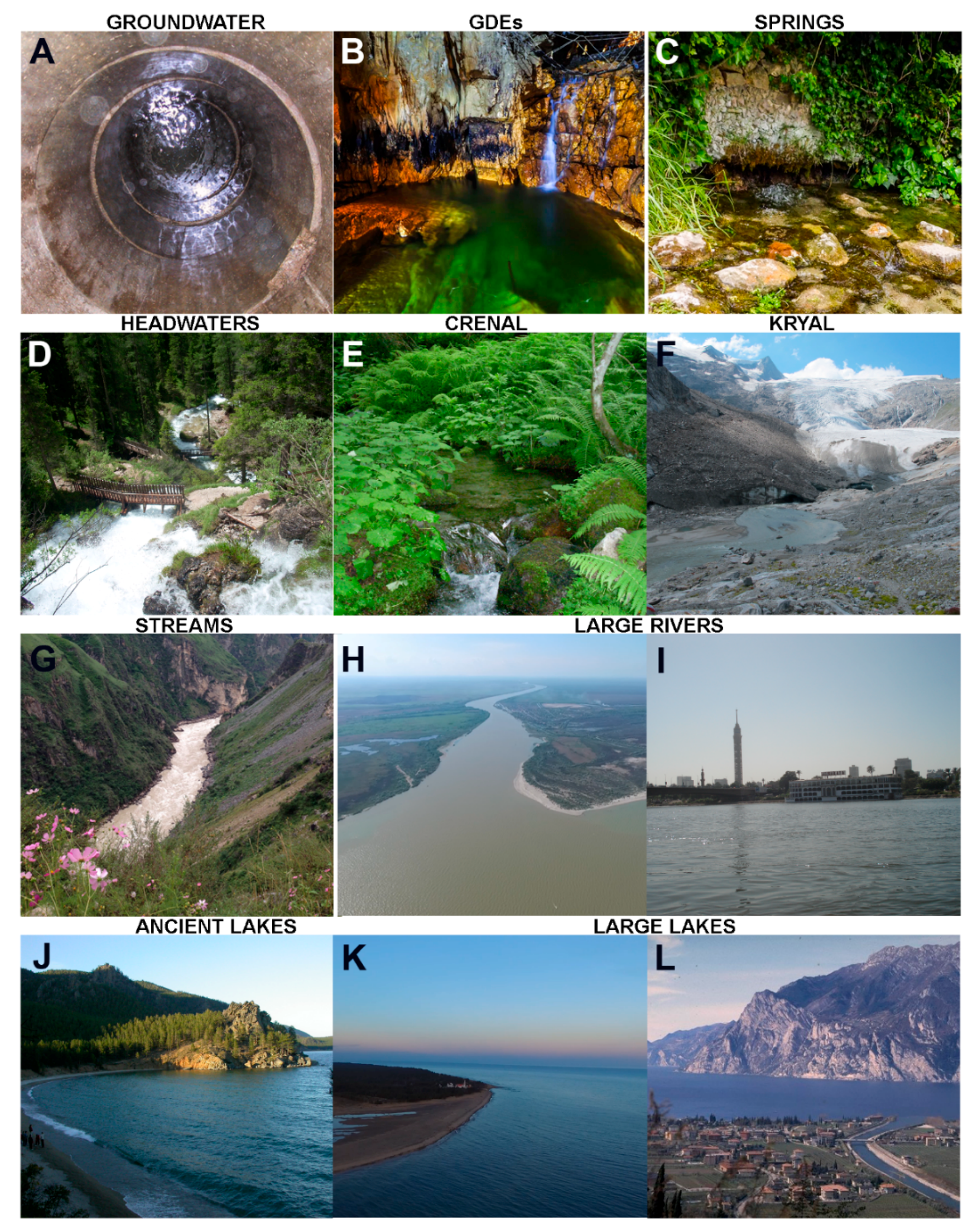 Water | Free Full-Text | Characteristics, Main Impacts, and Stewardship of Natural and Freshwater Environments: Consequences for Biodiversity Conservation | HTML