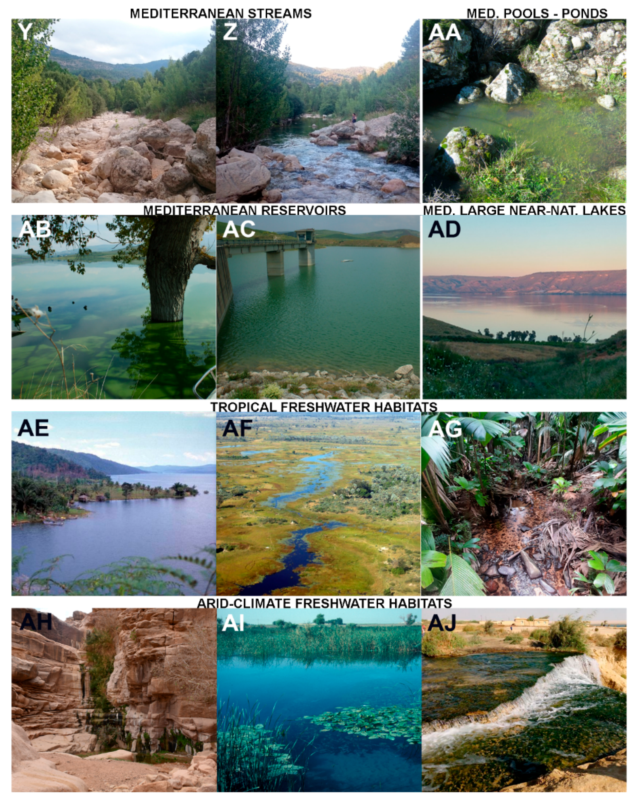 Water | Free Full-Text | Characteristics, Main Impacts, and Stewardship of Natural and Freshwater Environments: Consequences for Biodiversity Conservation | HTML