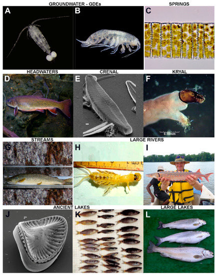 Cultivable coastal water species of Fishes, Crustaceans, Mollusks,  Seaweeds.pdf