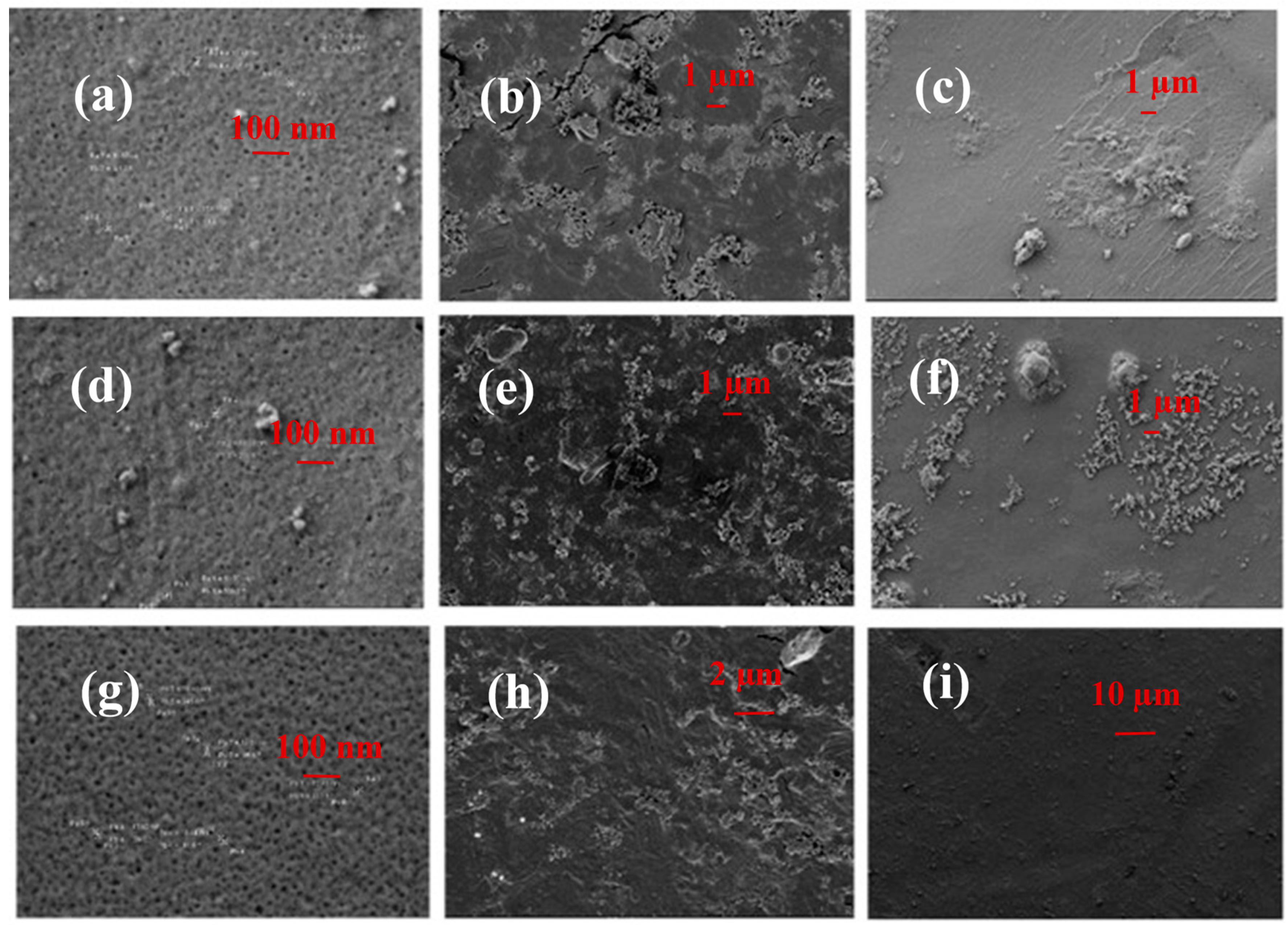 Water 12 00365 g010 Water 12 00365 g010