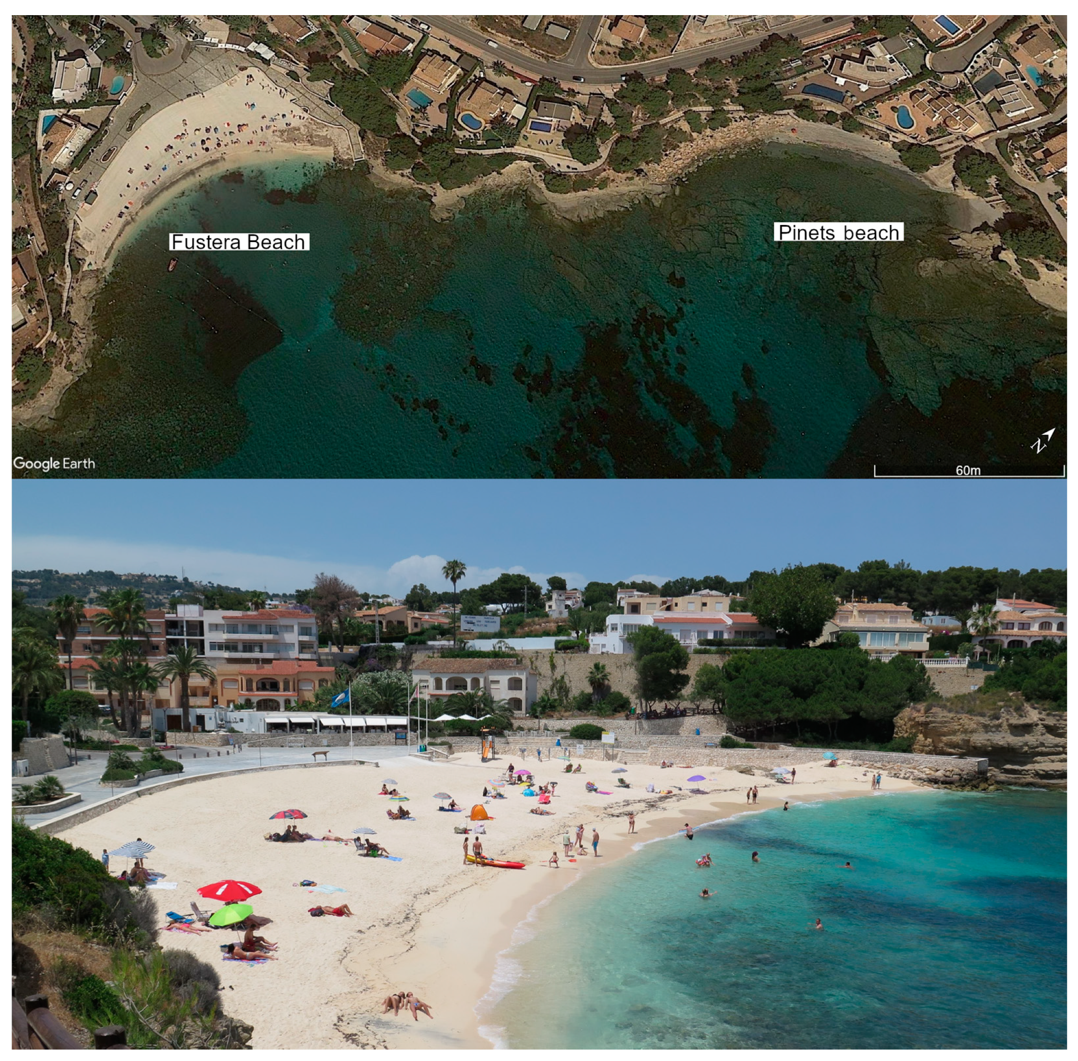 Water 12 00377 g007 Water 12 00377 g007