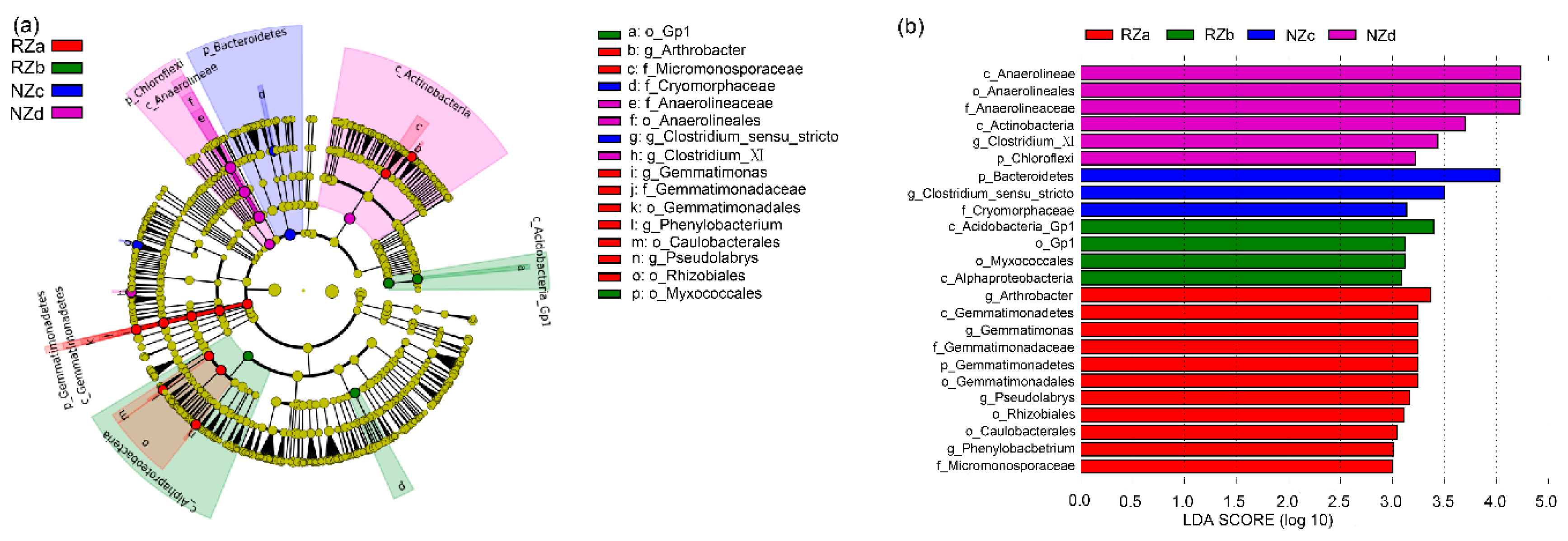 Water 12 00432 g003 Water 12 00432 g003