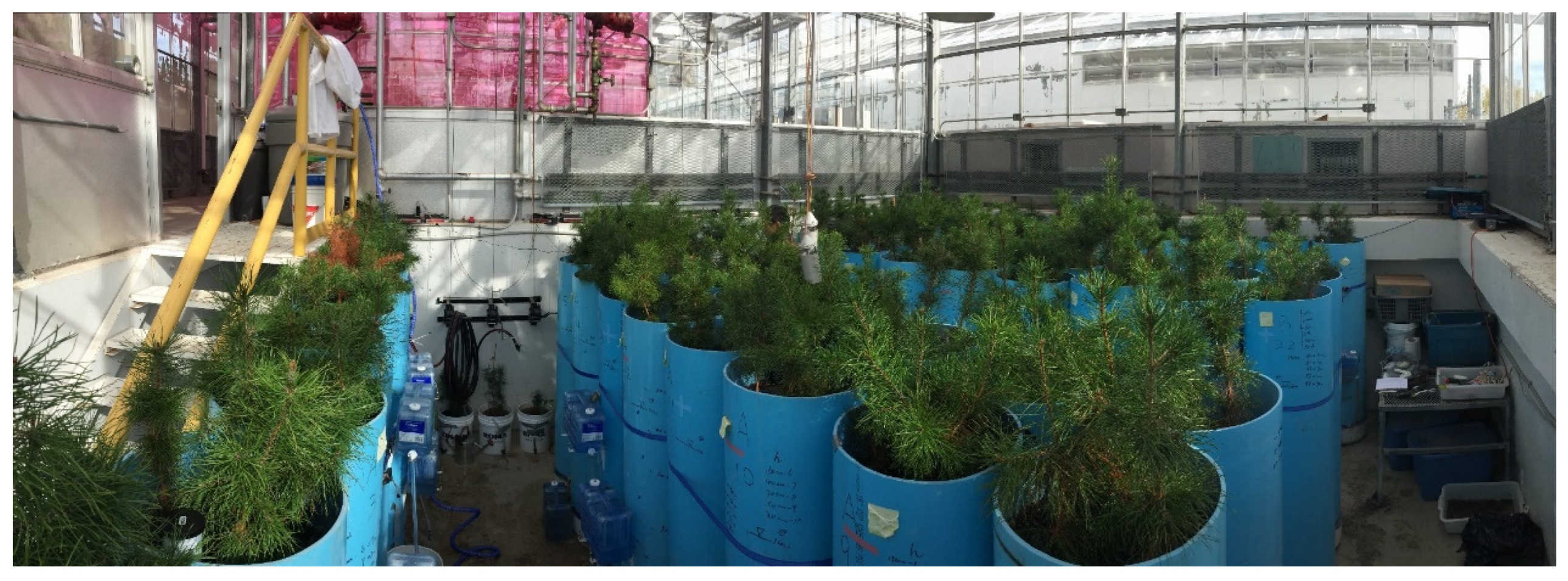 Water 12 00512 g001a Water 12 00512 g001a