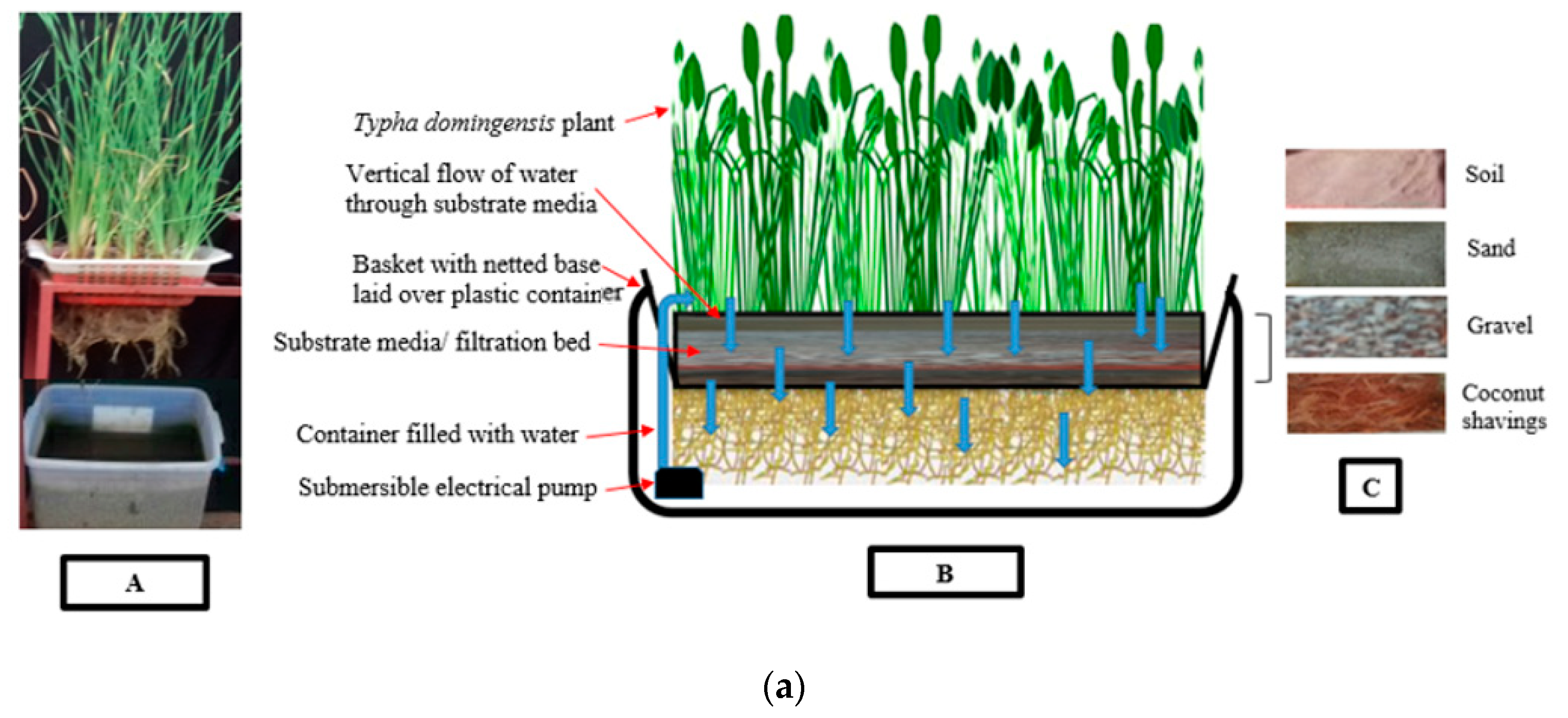 Water 12 00549 g001a