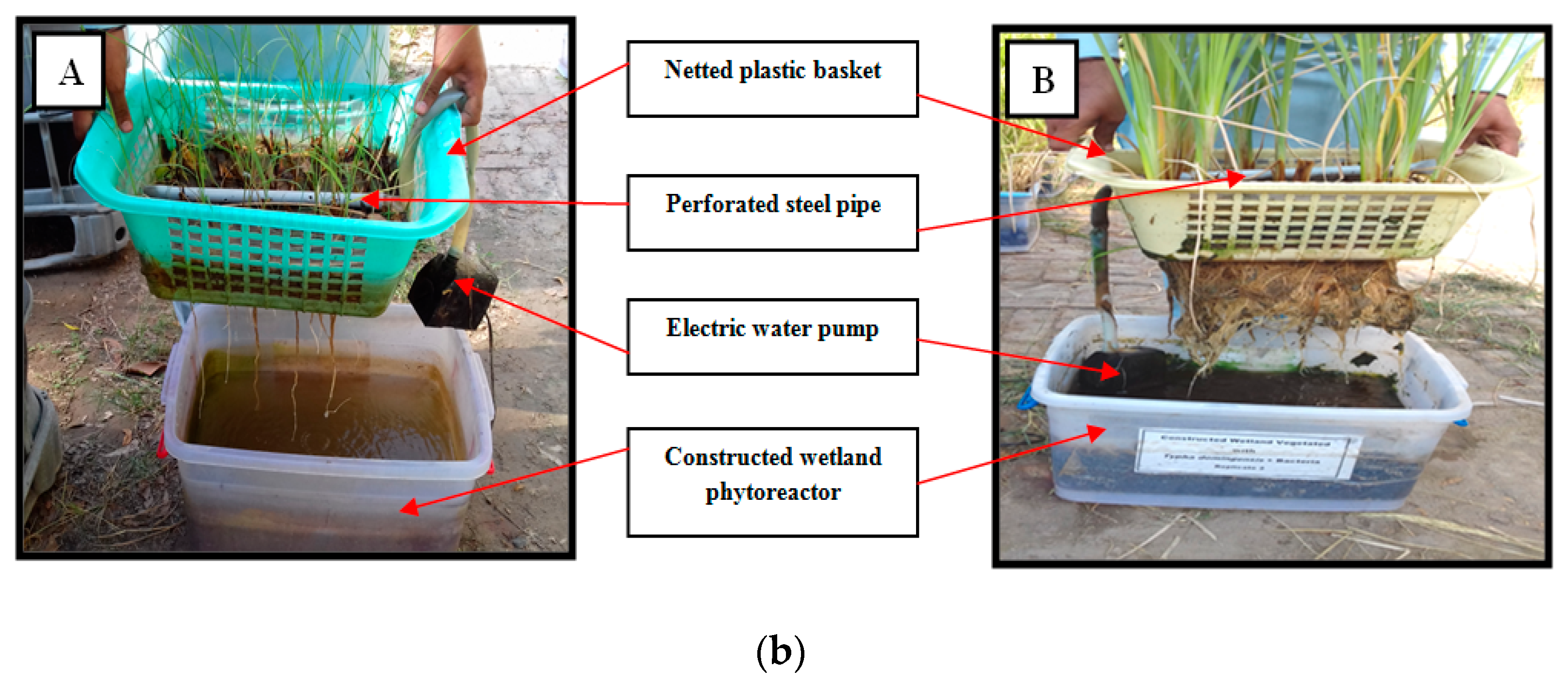 Water 12 00549 g001b