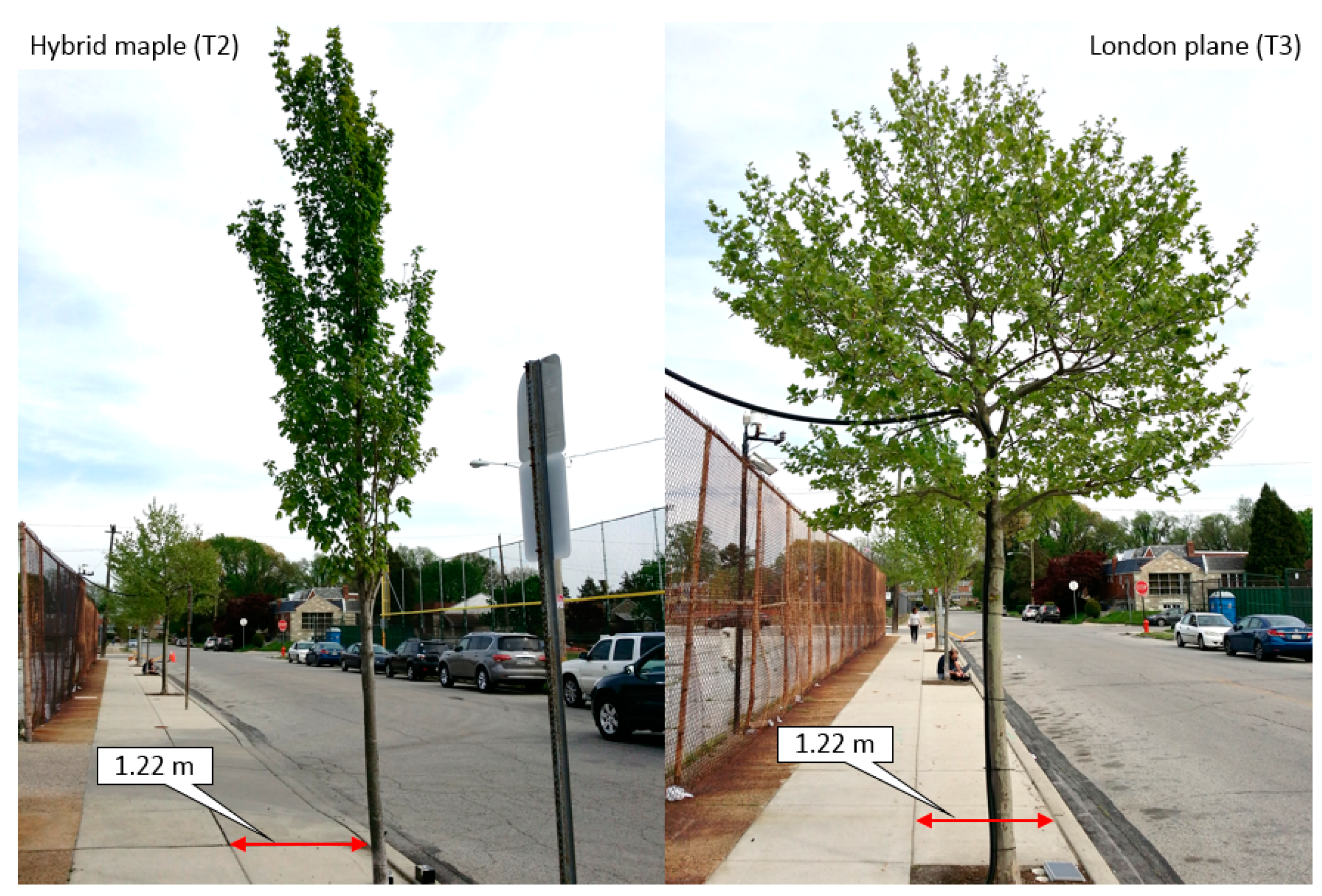 Water 12 00573 g007 Water 12 00573 g007