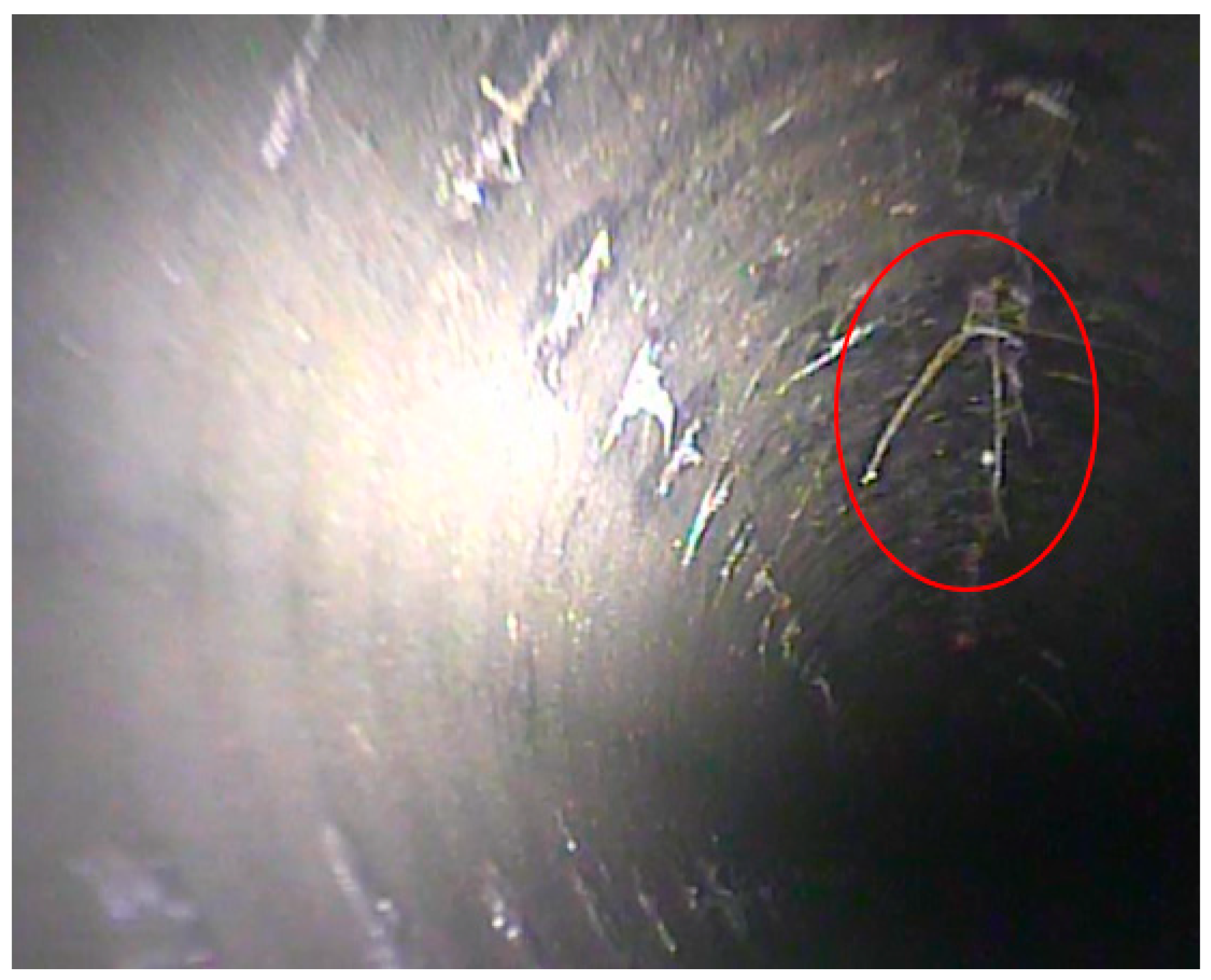 Water 12 00573 g008 Water 12 00573 g008