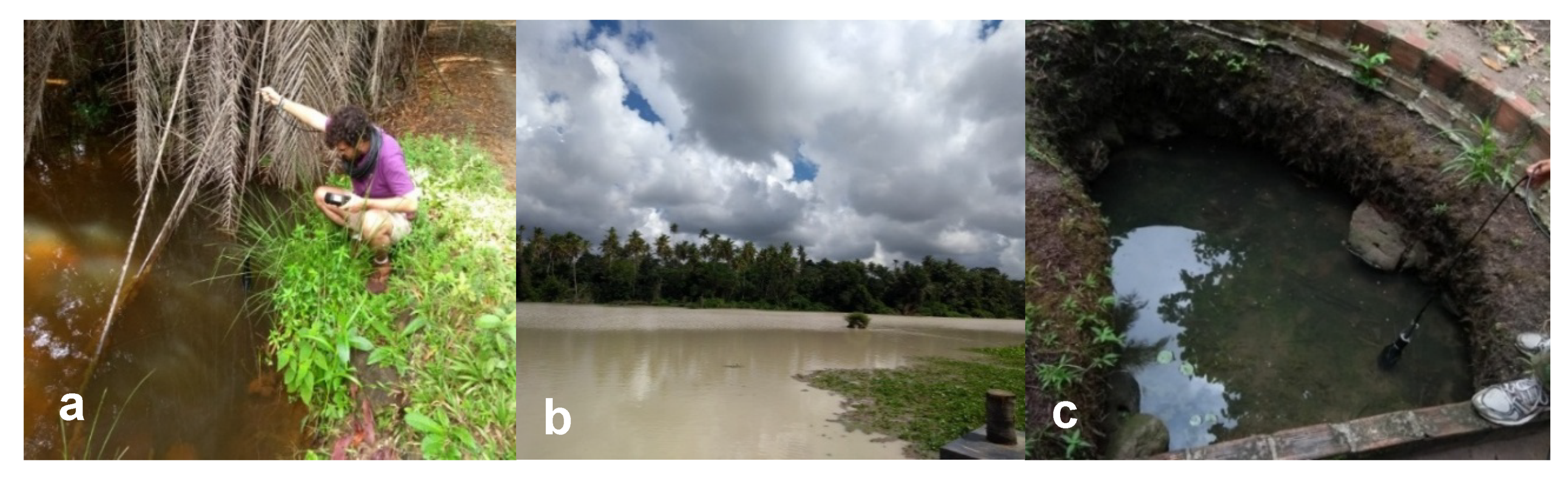 Water 12 00623 g004 Water 12 00623 g004