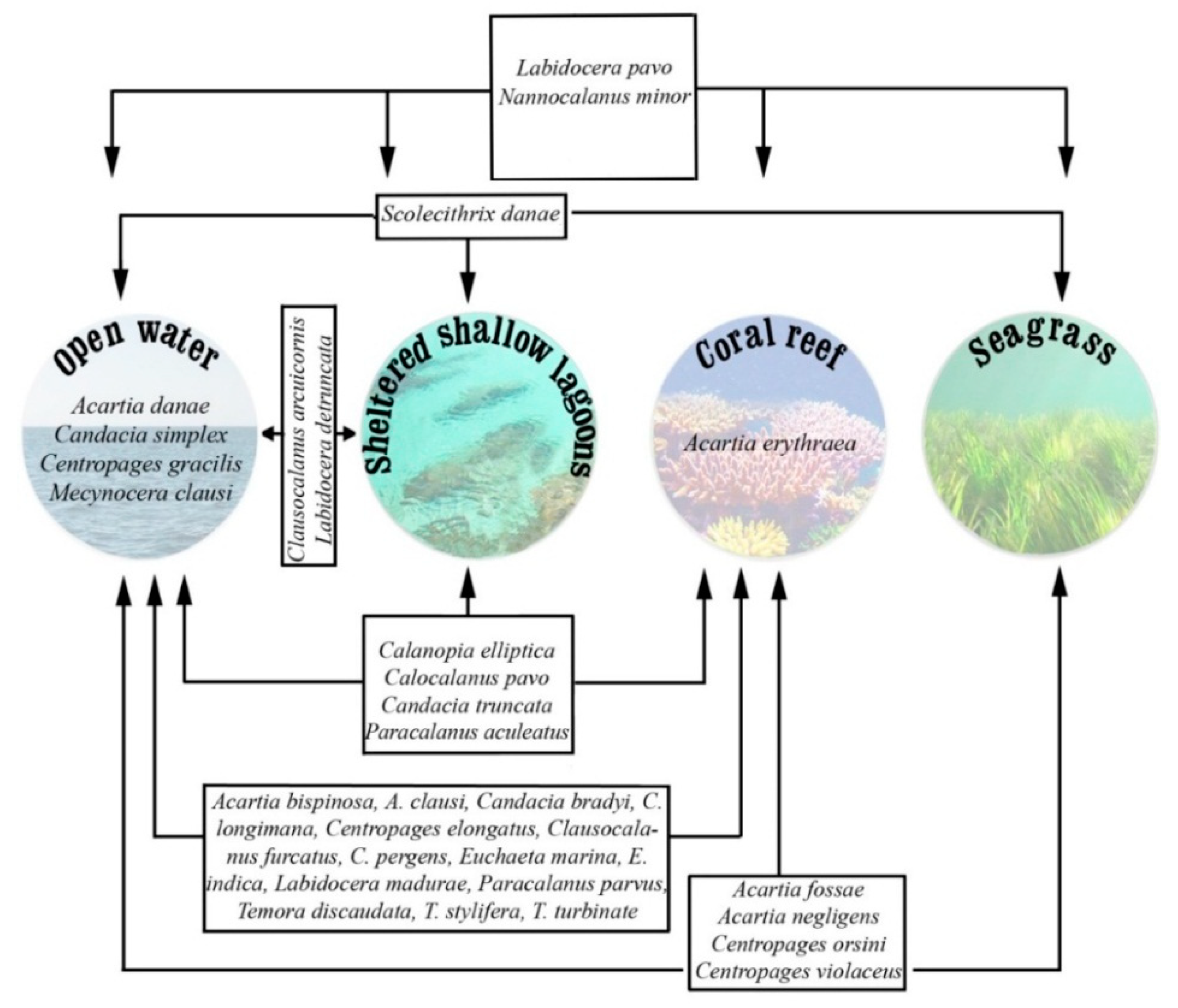 Water 12 00656 g002 Water 12 00656 g002