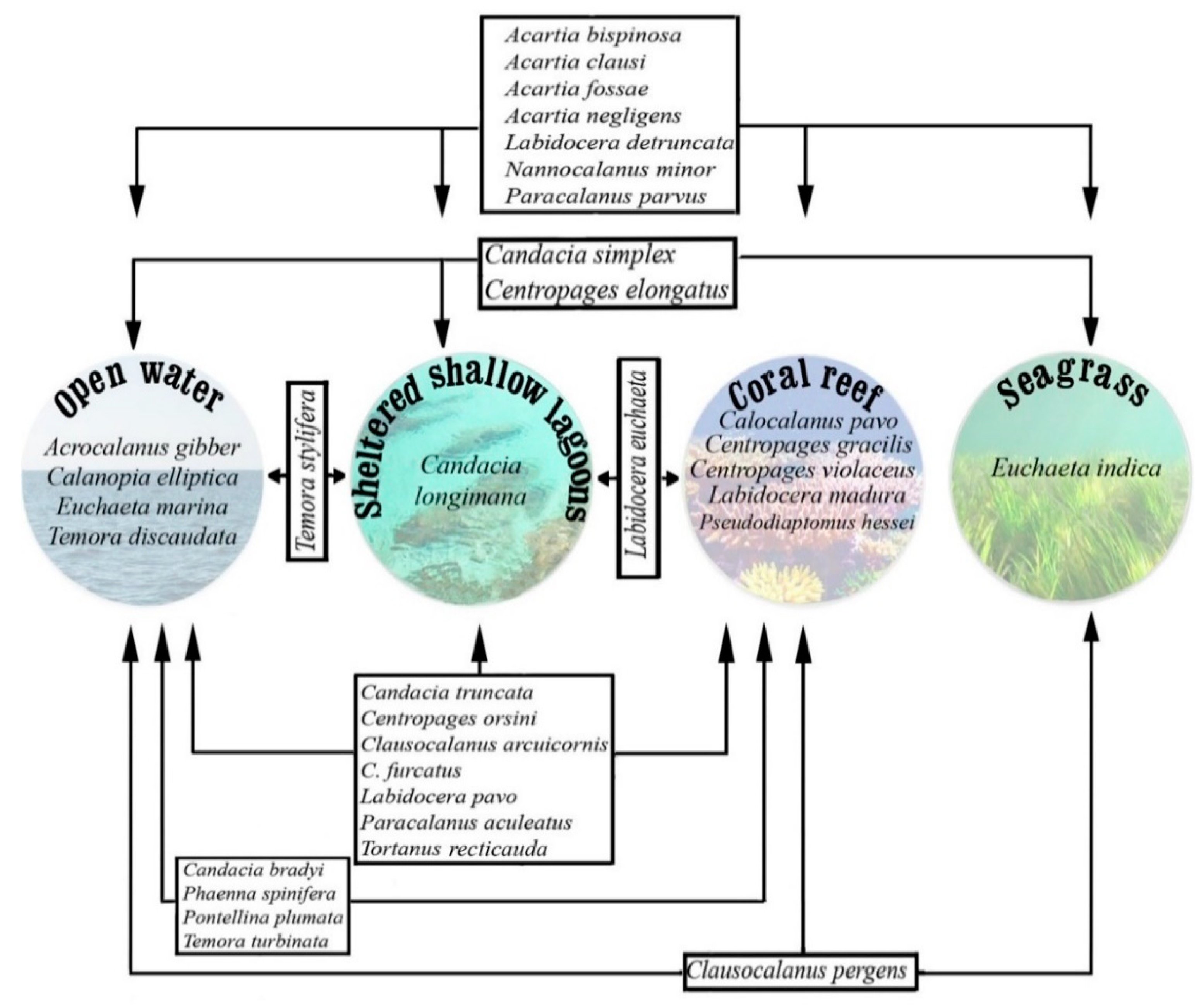 Water 12 00656 g003 Water 12 00656 g003