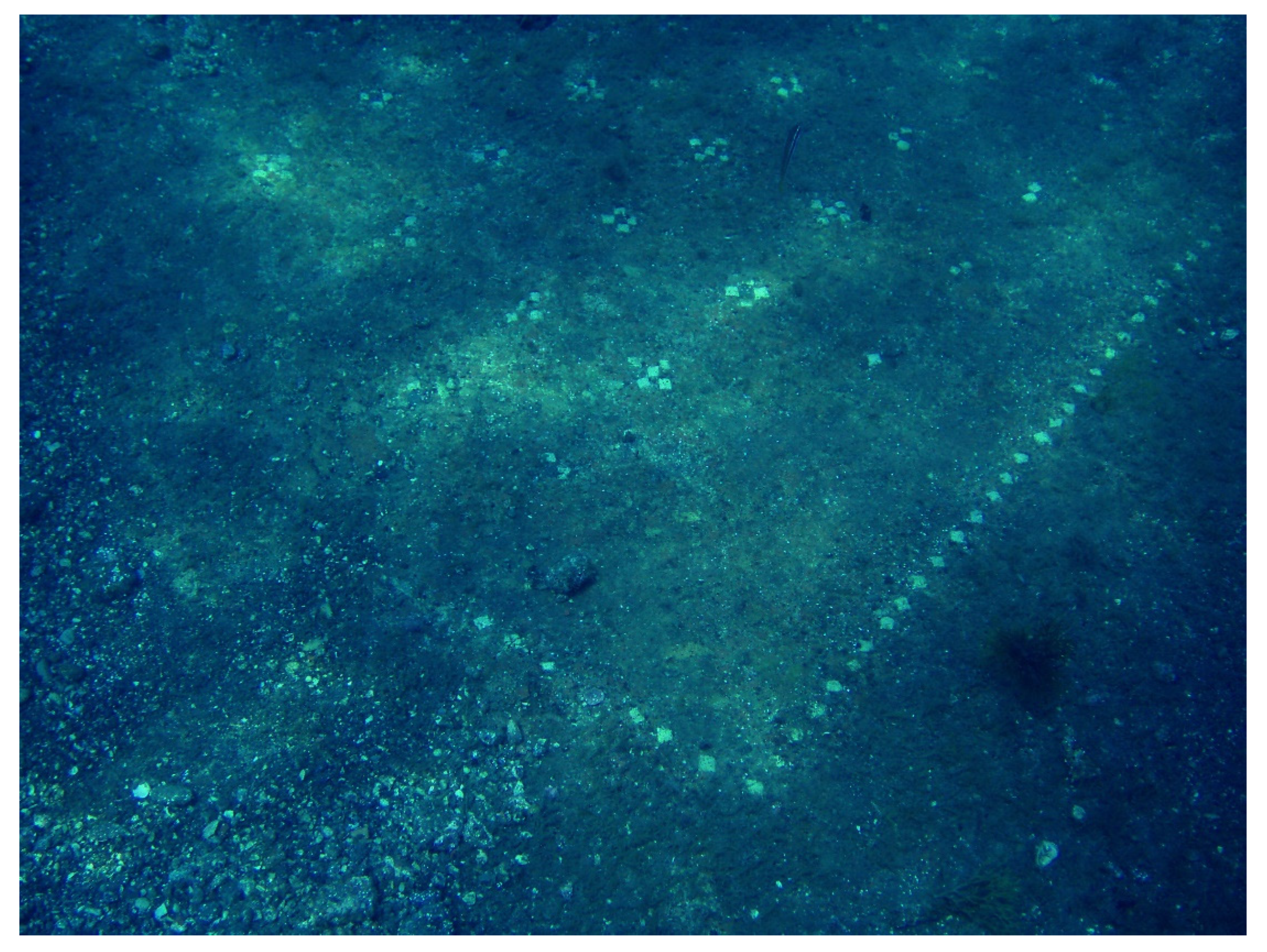 Water 12 00658 g009 Water 12 00658 g009