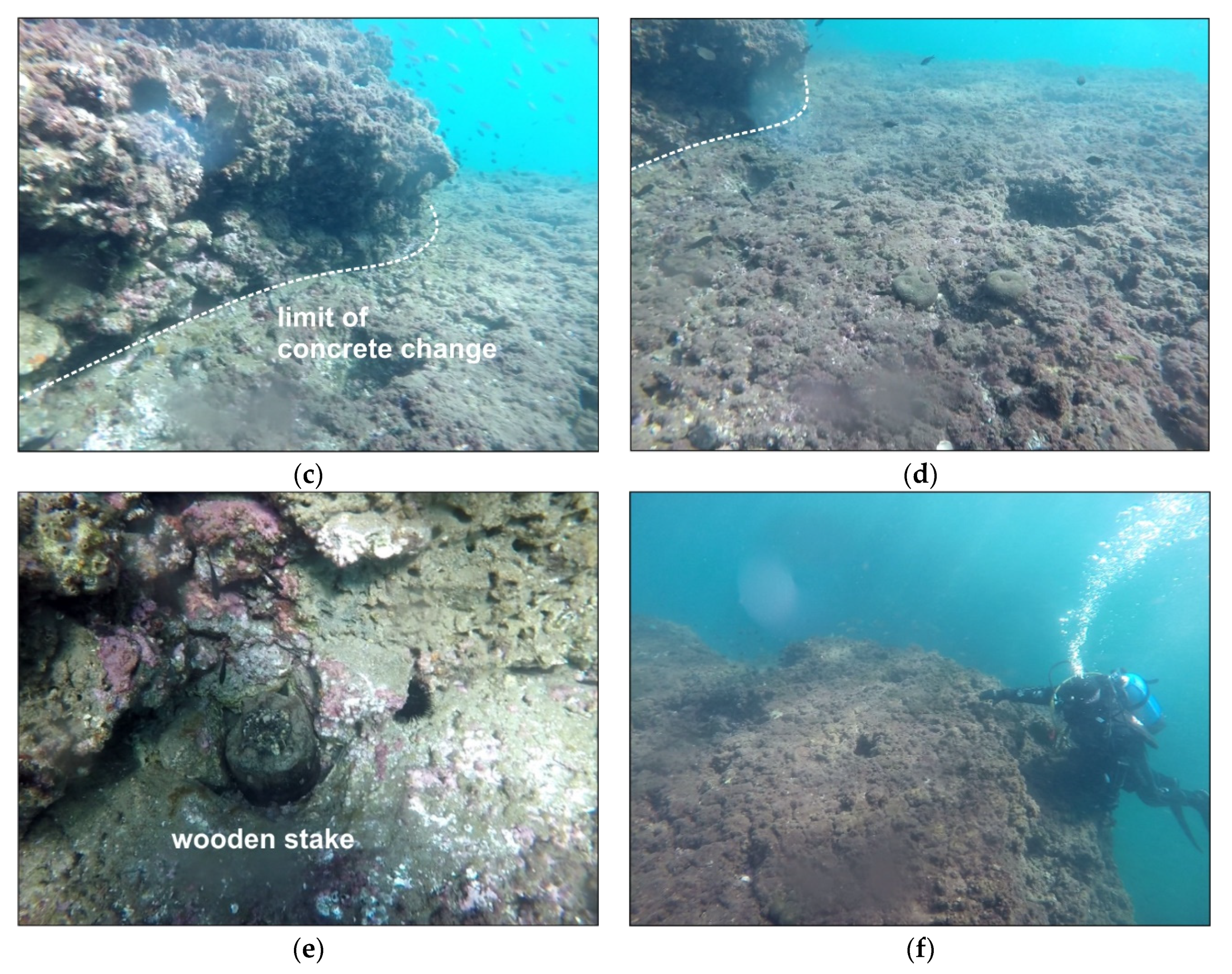 Water 12 00658 g012b Water 12 00658 g012b