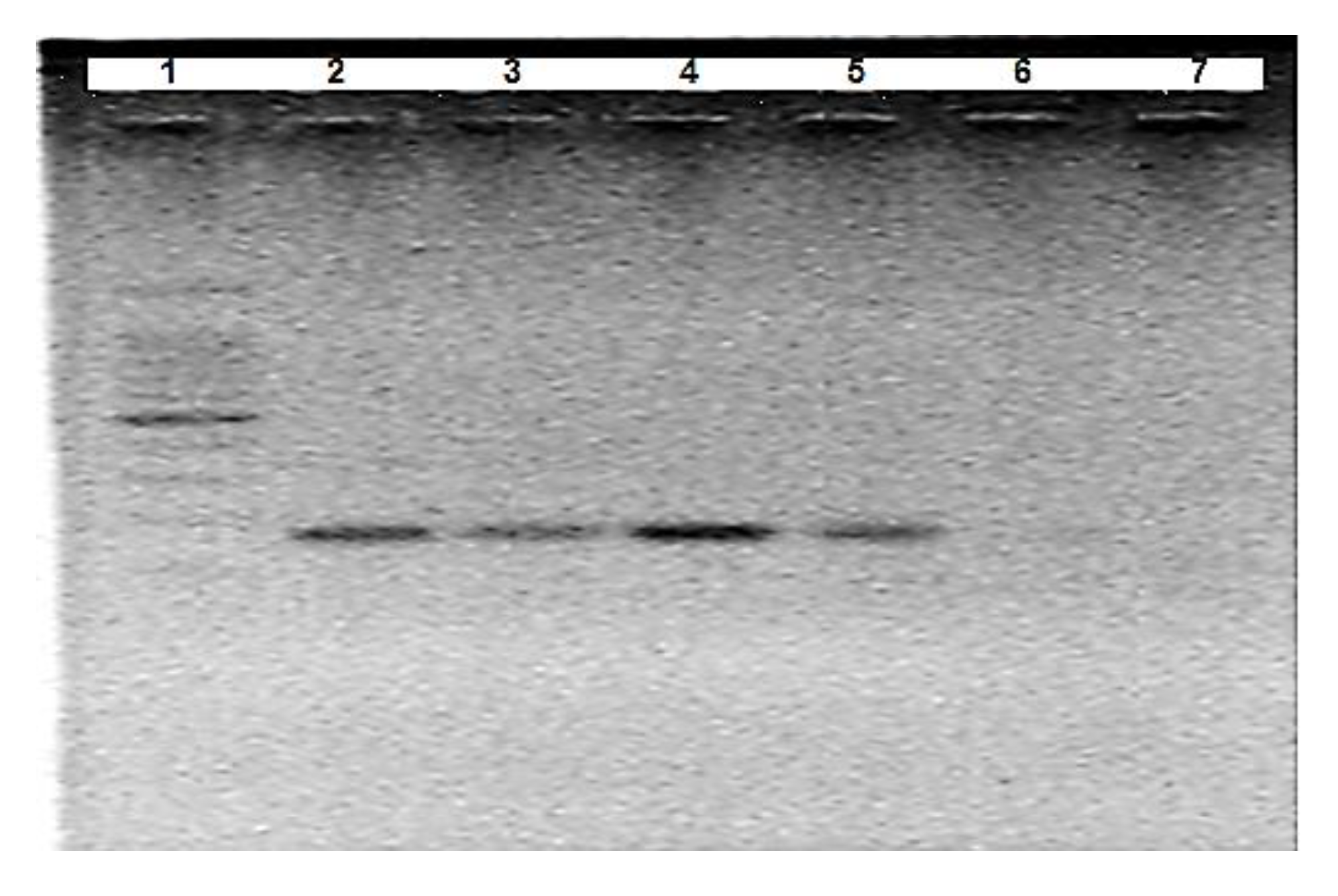 Water 12 00691 g001 Water 12 00691 g001