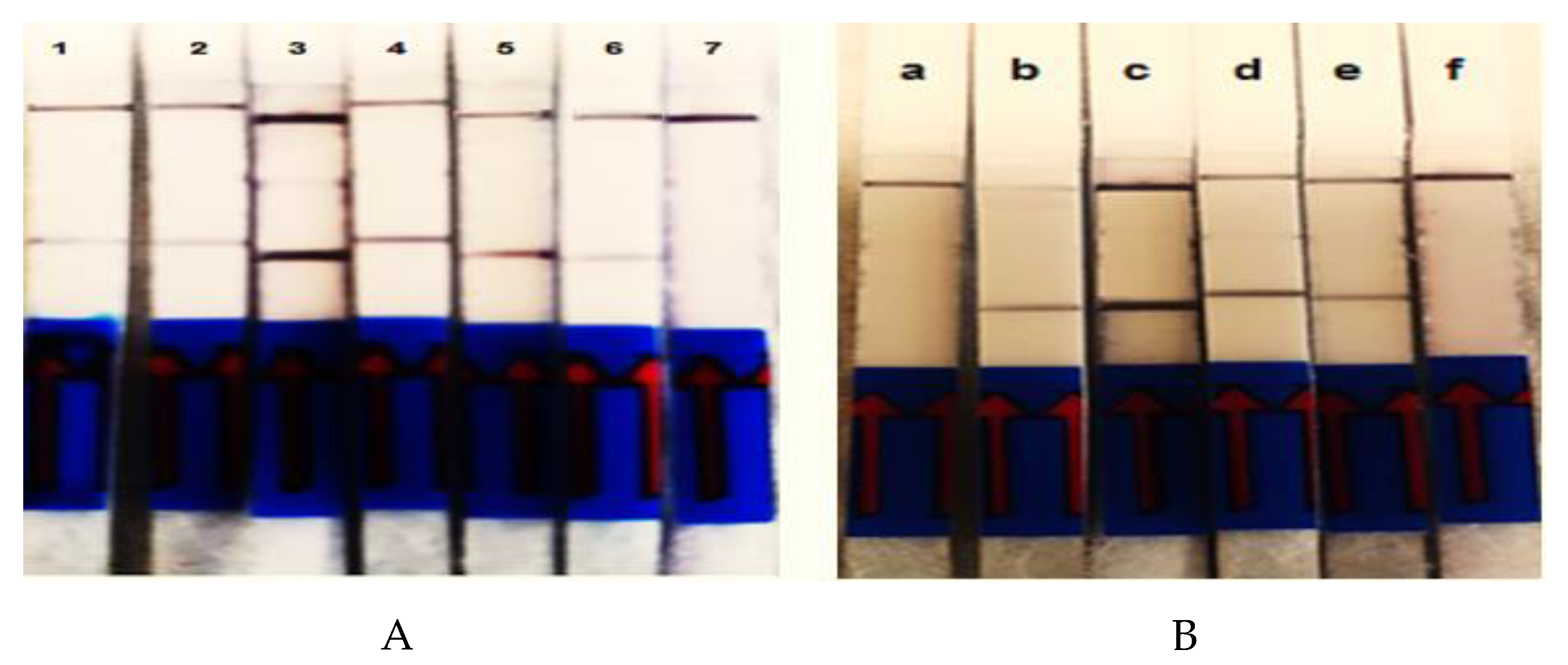 Water 12 00691 g002 Water 12 00691 g002