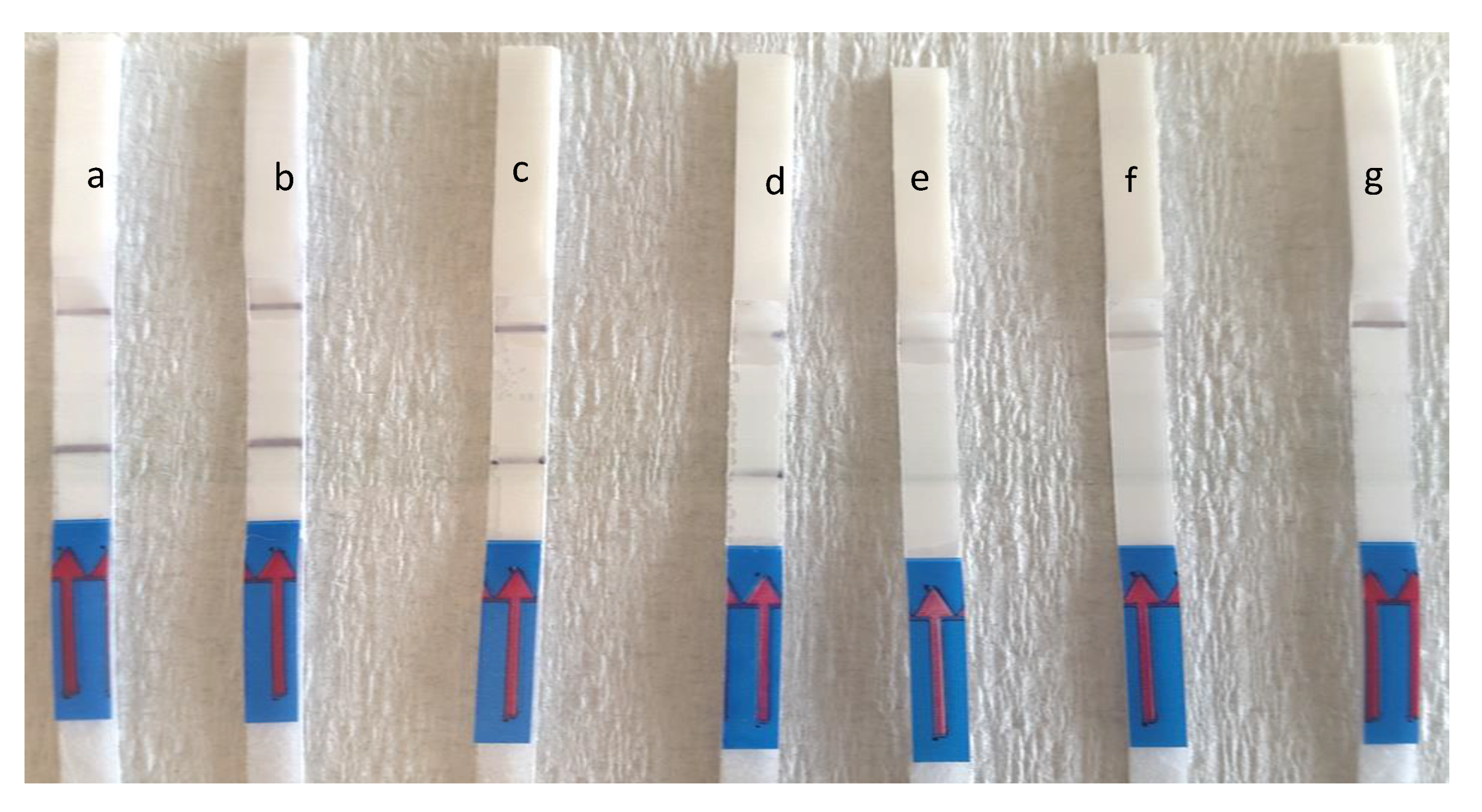 Water 12 00691 g003 Water 12 00691 g003