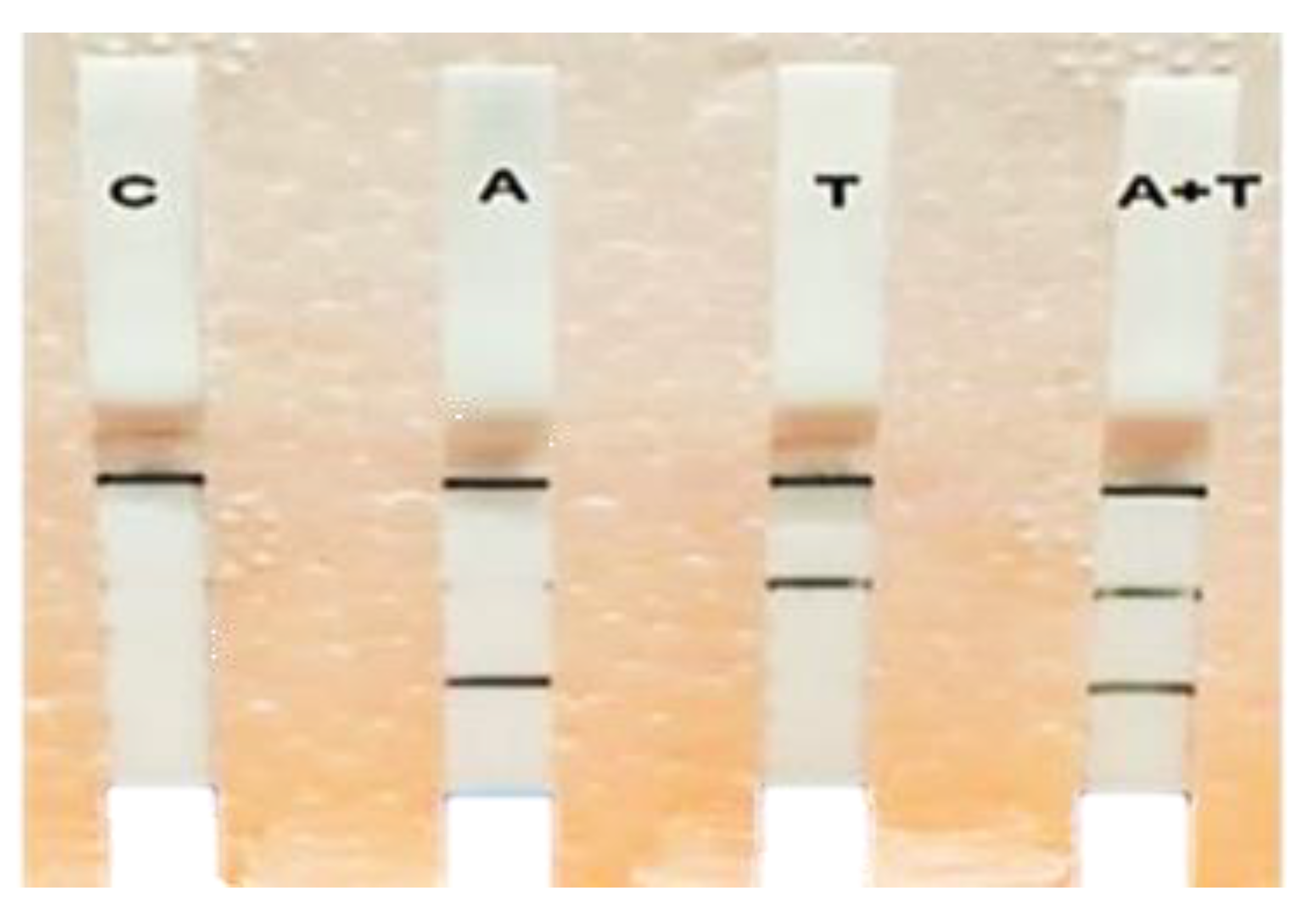 Water 12 00691 g005 Water 12 00691 g005