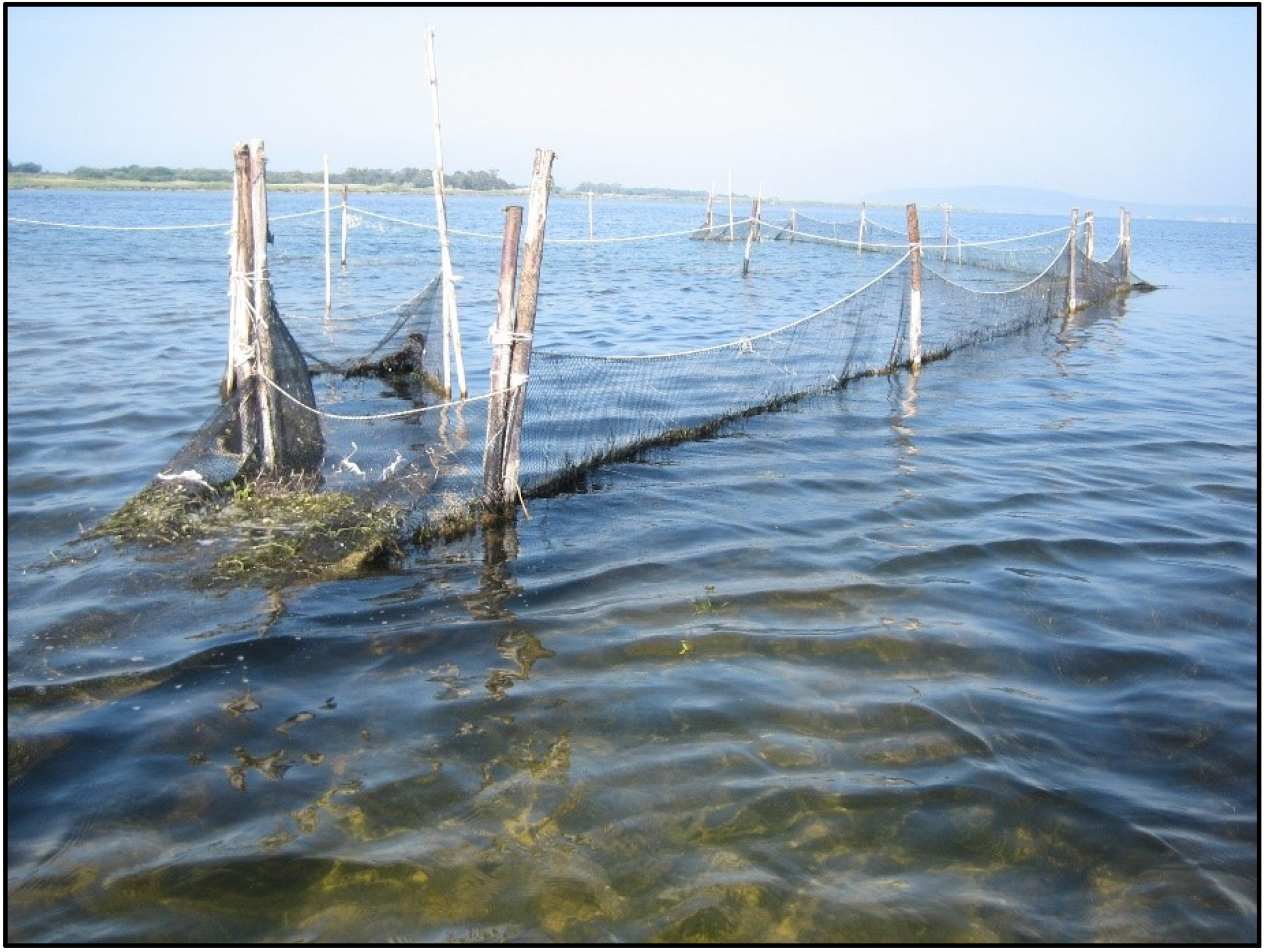 Water 12 00894 g006 Water 12 00894 g006