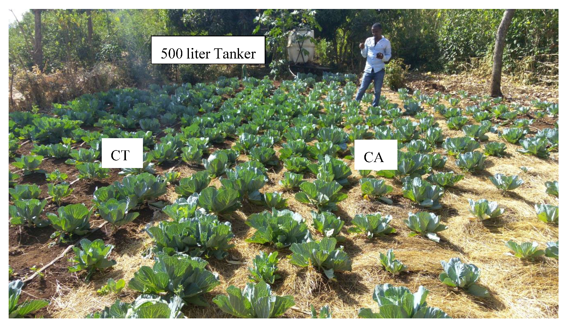 Water 12 00947 g002 Water 12 00947 g002