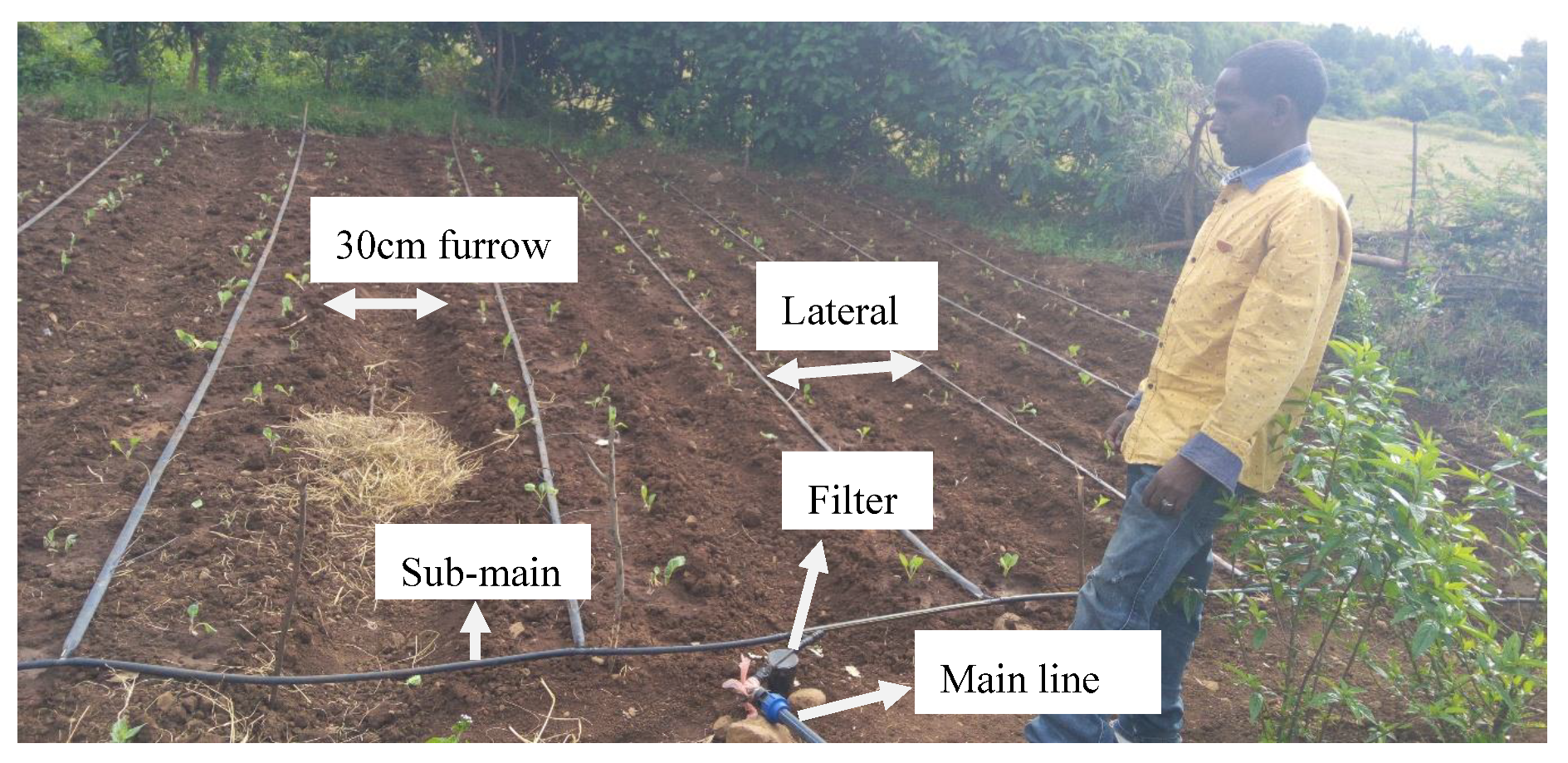 Water 12 00947 g003 Water 12 00947 g003