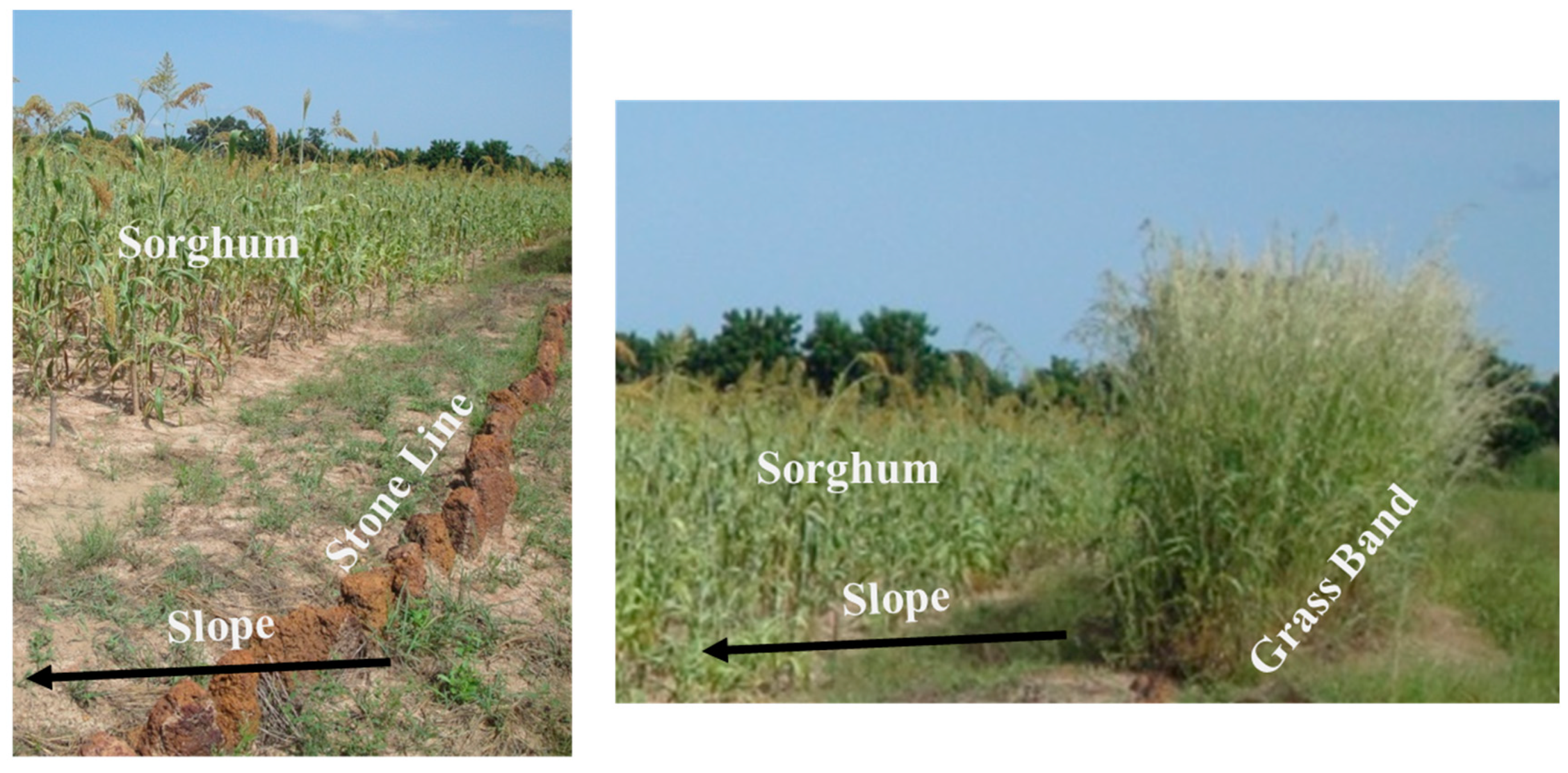 Water 12 00976 g003 Water 12 00976 g003