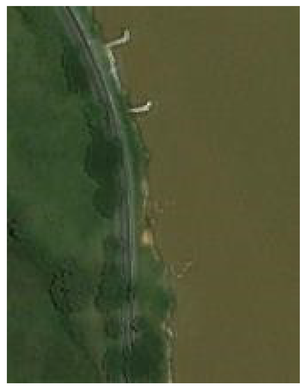 Water 12 00984 g016 550