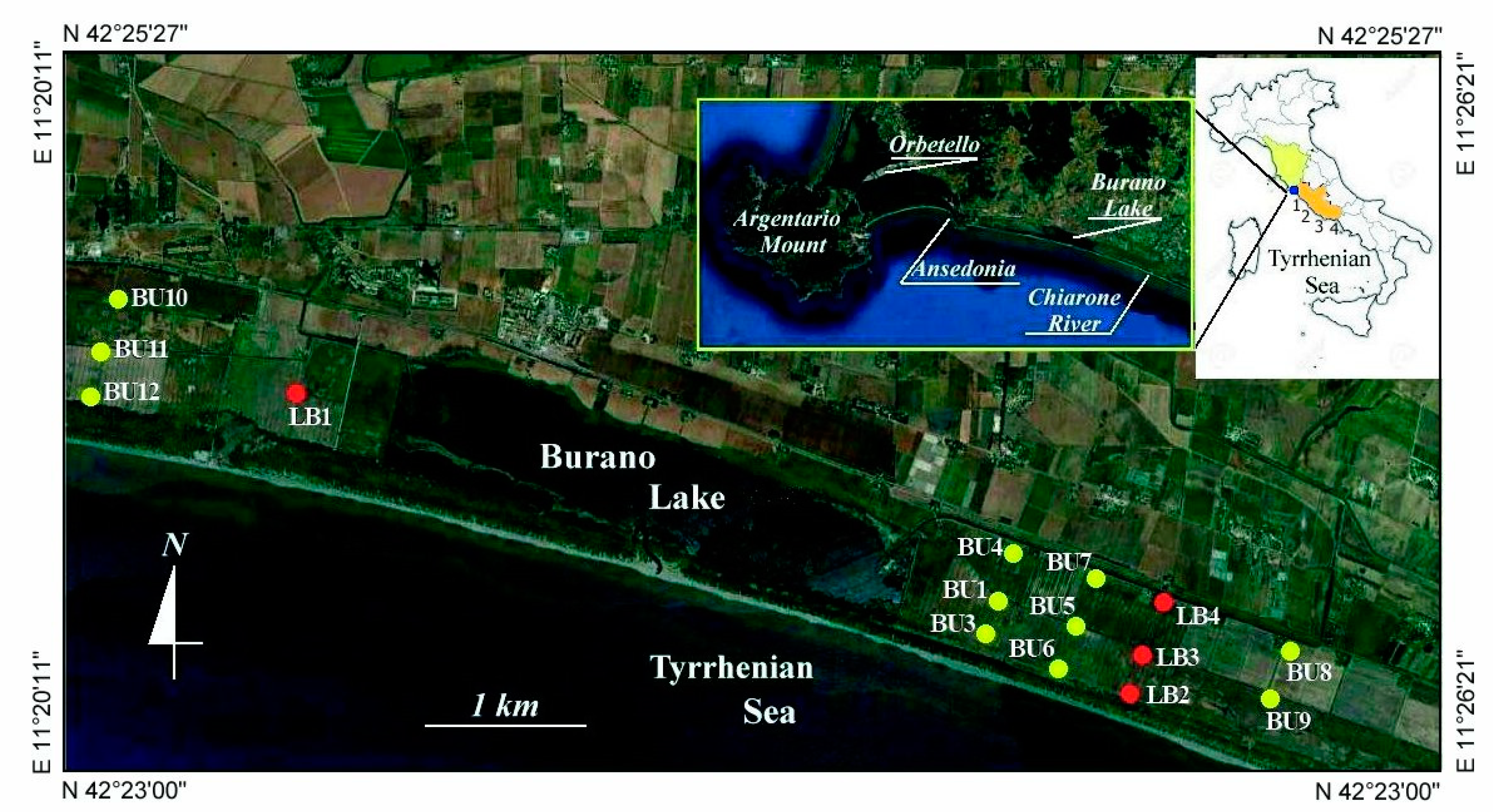 Water 12 01007 g001 Water 12 01007 g001