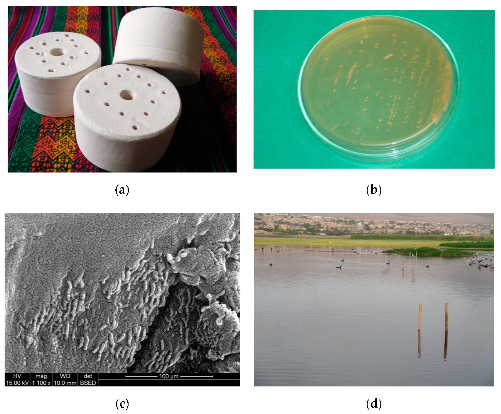 Water 12 01097 g002 Water 12 01097 g002