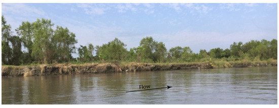 Water Free Full Text A Computer Aided Approach For River Styles Inspired Characterization Of Large Basins The Magdalena River Colombia Html