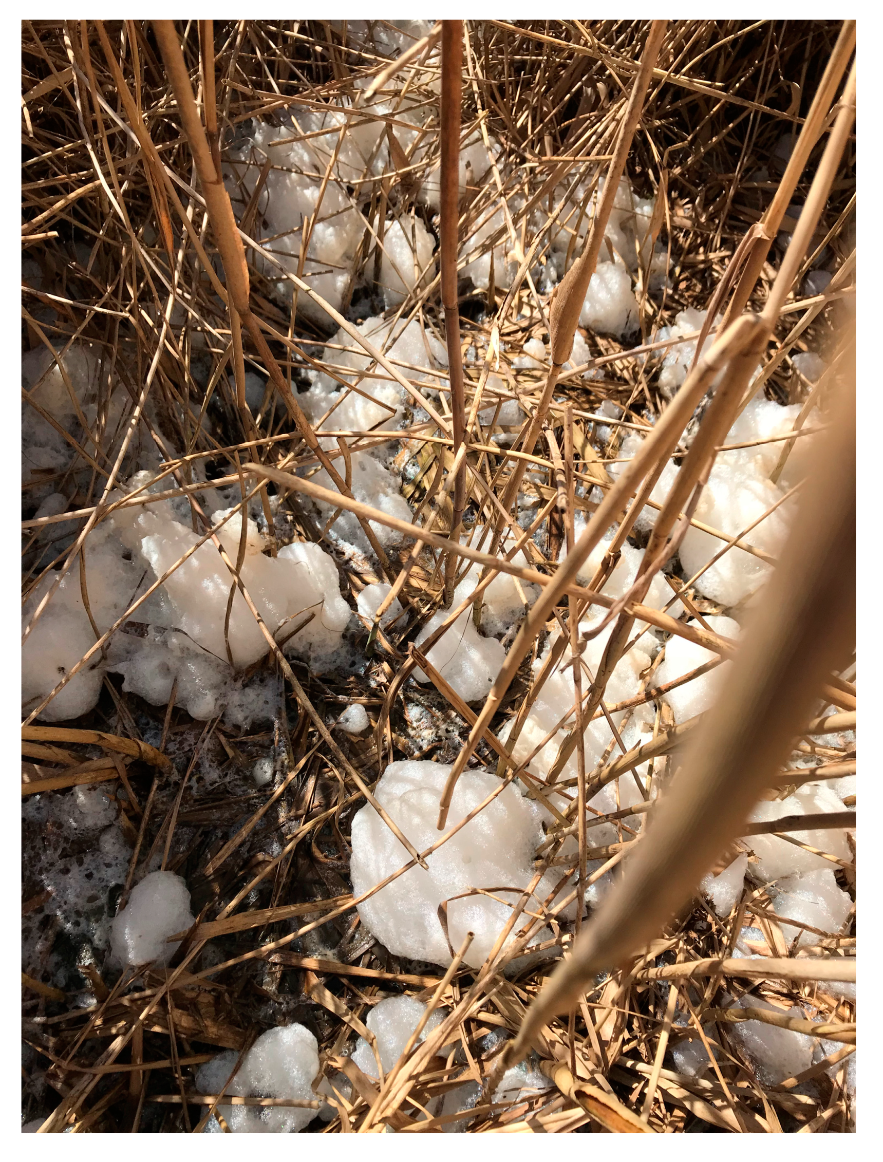 Water 12 01188 g003 550