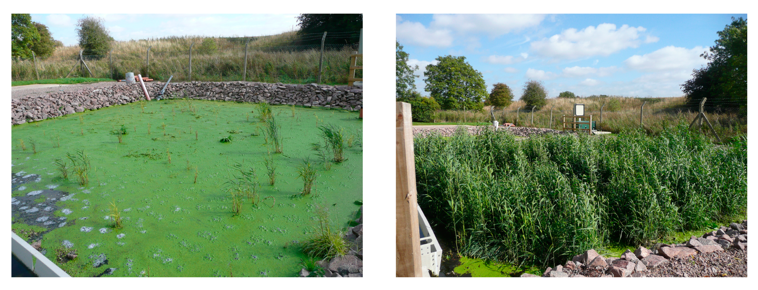 Water 12 01188 g006 550