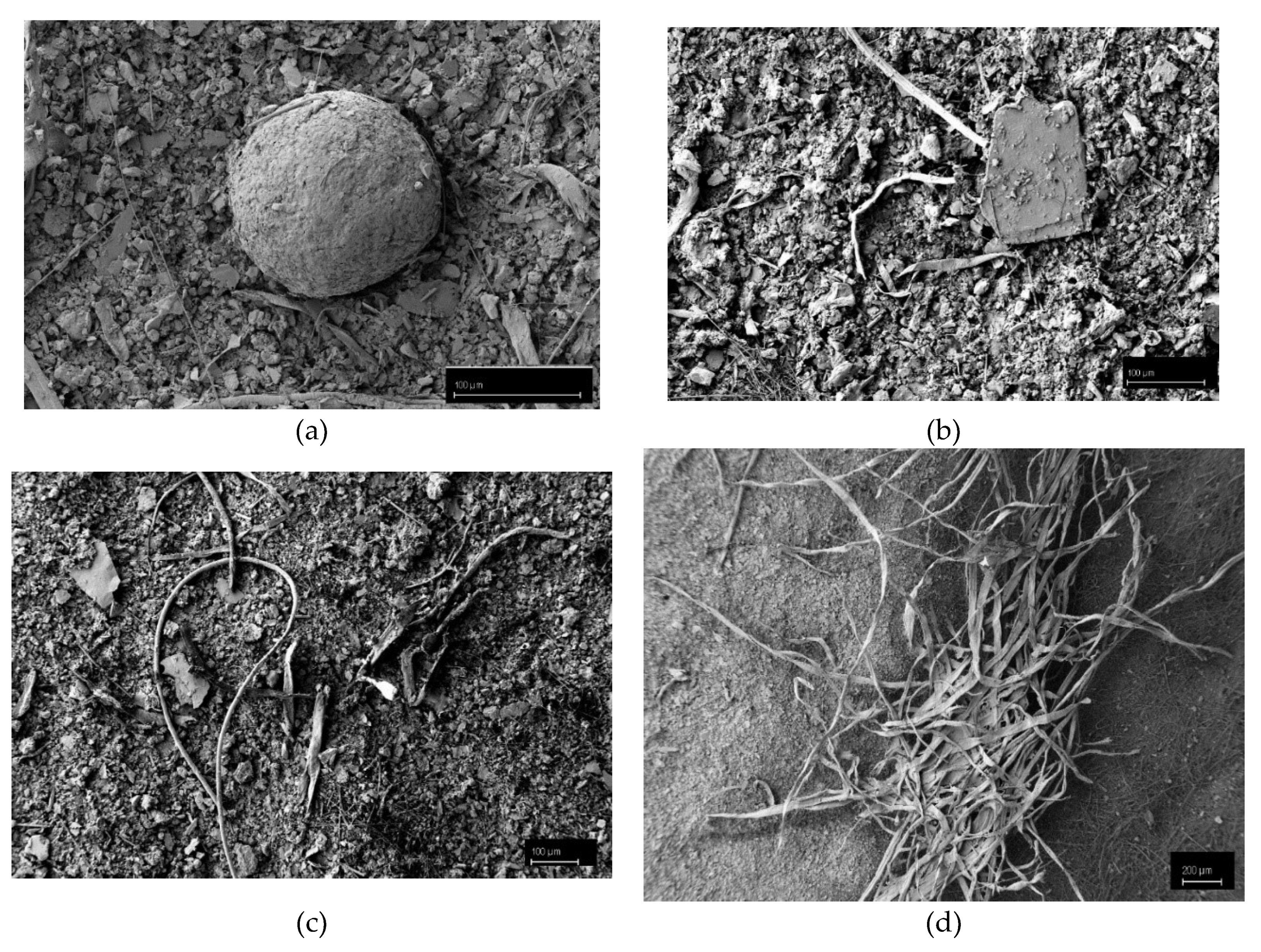 Water 12 01210 g006 550