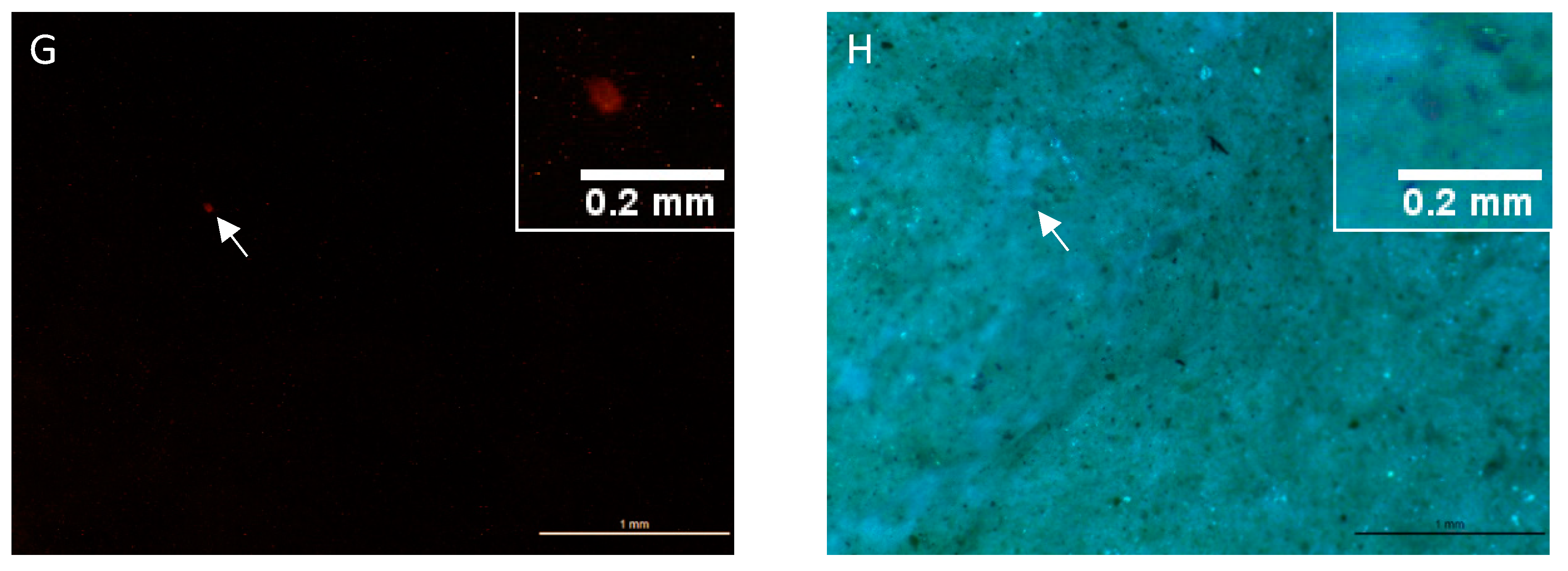 Water 12 01219 g002b Water 12 01219 g002b