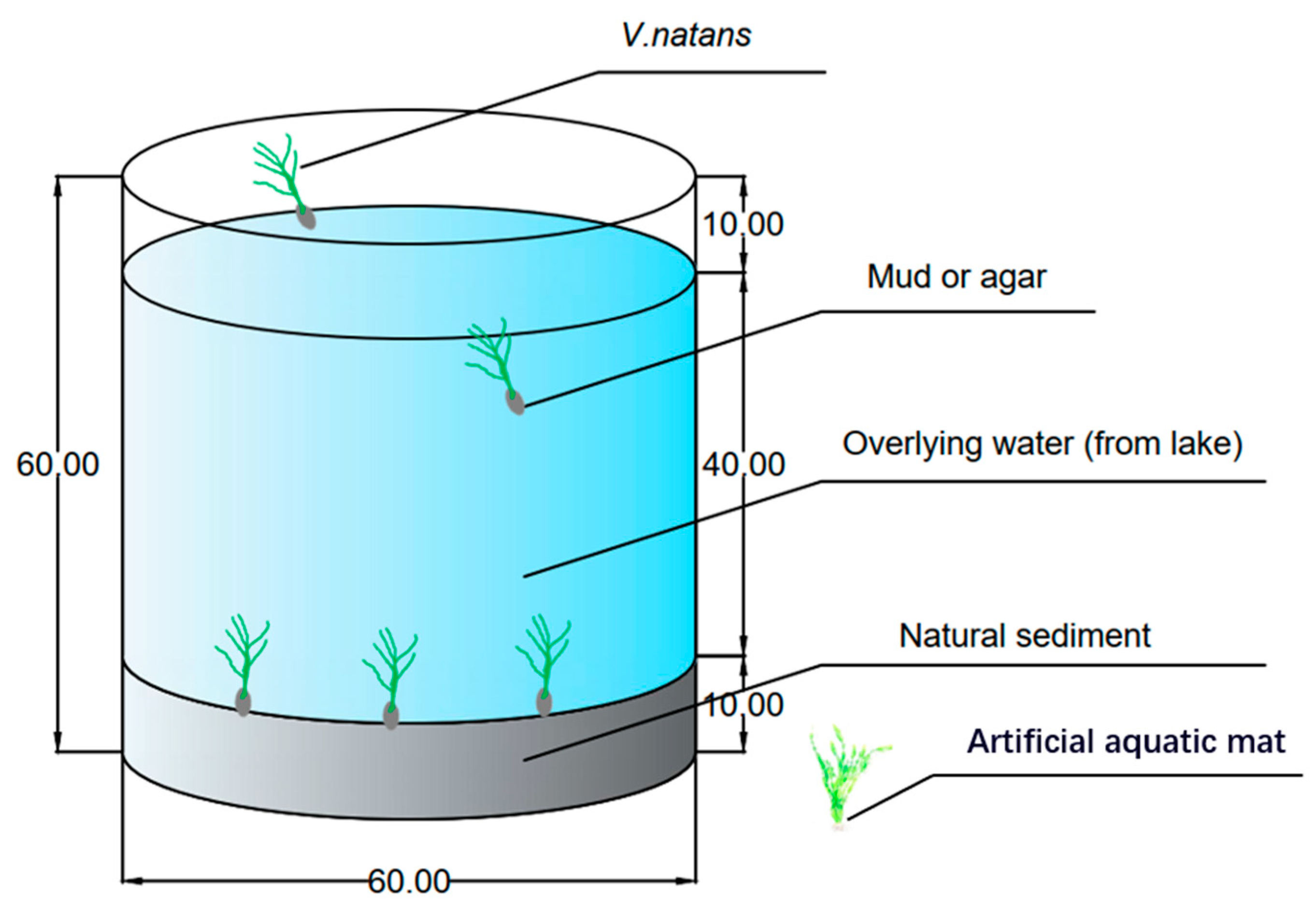 Water 12 01294 g001 Water 12 01294 g001