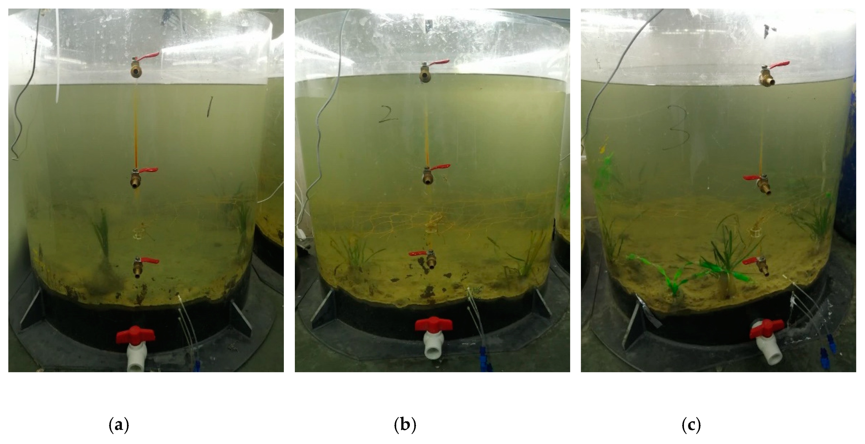 Water 12 01294 g002 Water 12 01294 g002