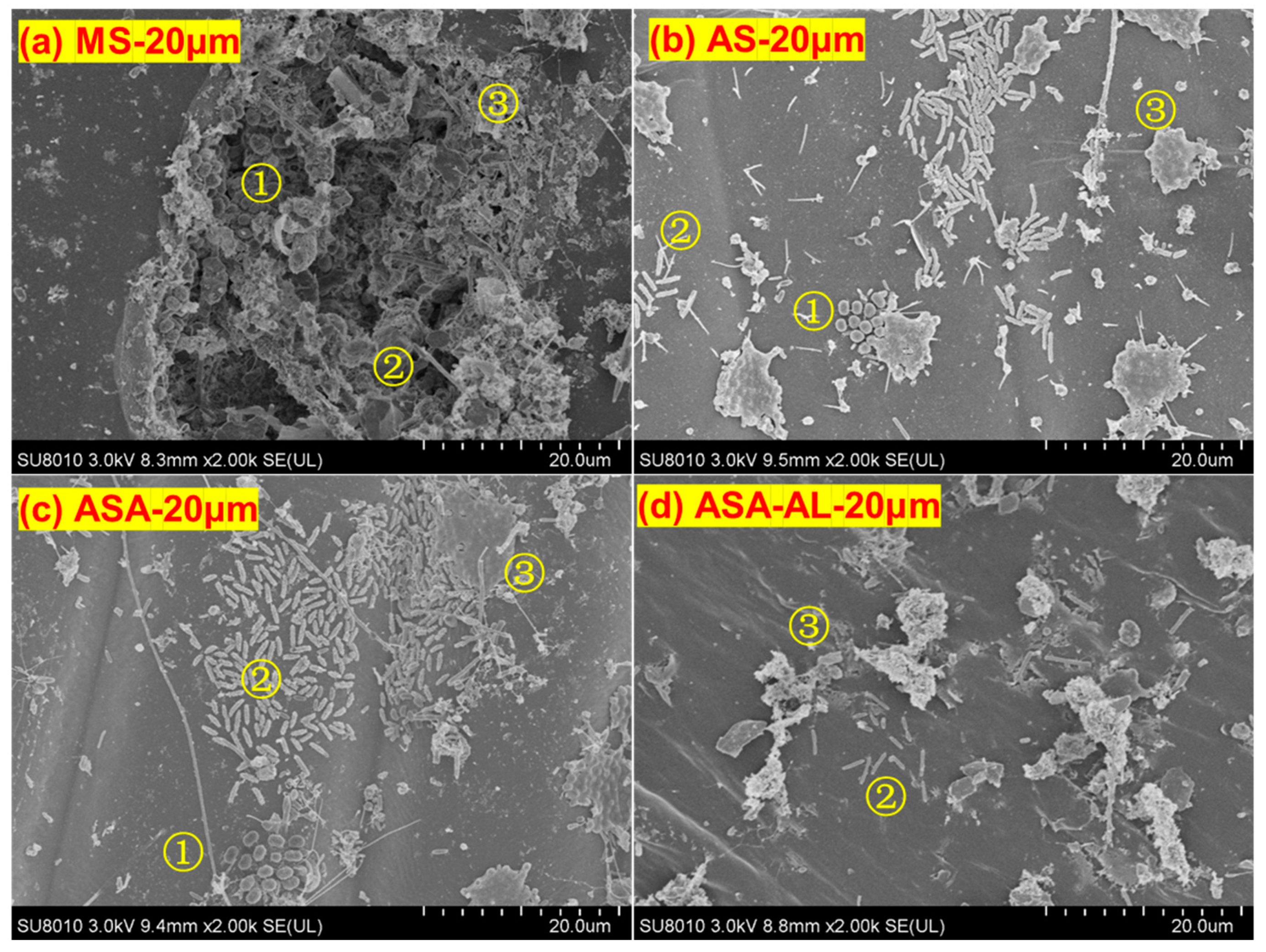 Water 12 01294 g009 Water 12 01294 g009