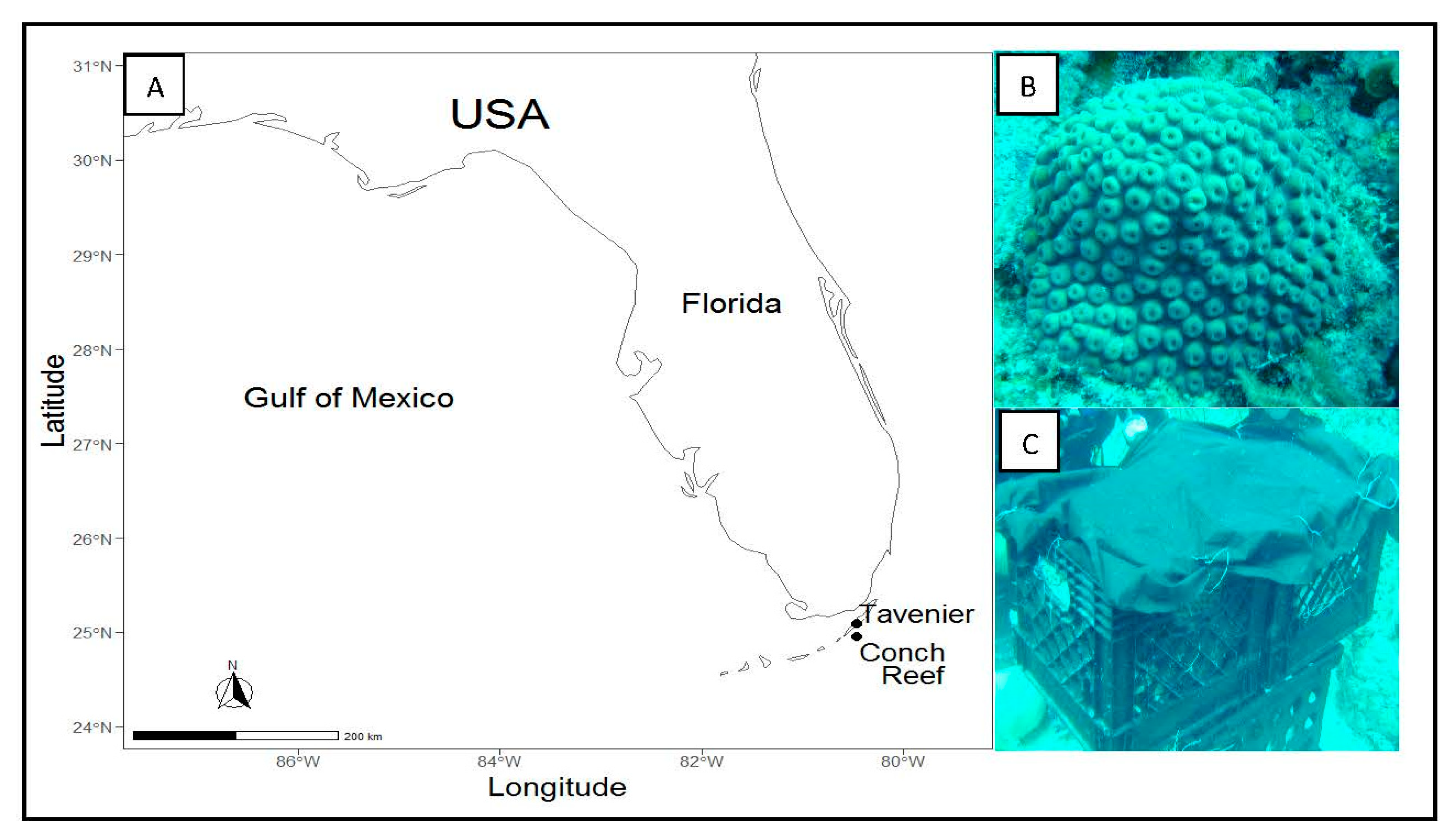 Water 12 01303 g001 Water 12 01303 g001