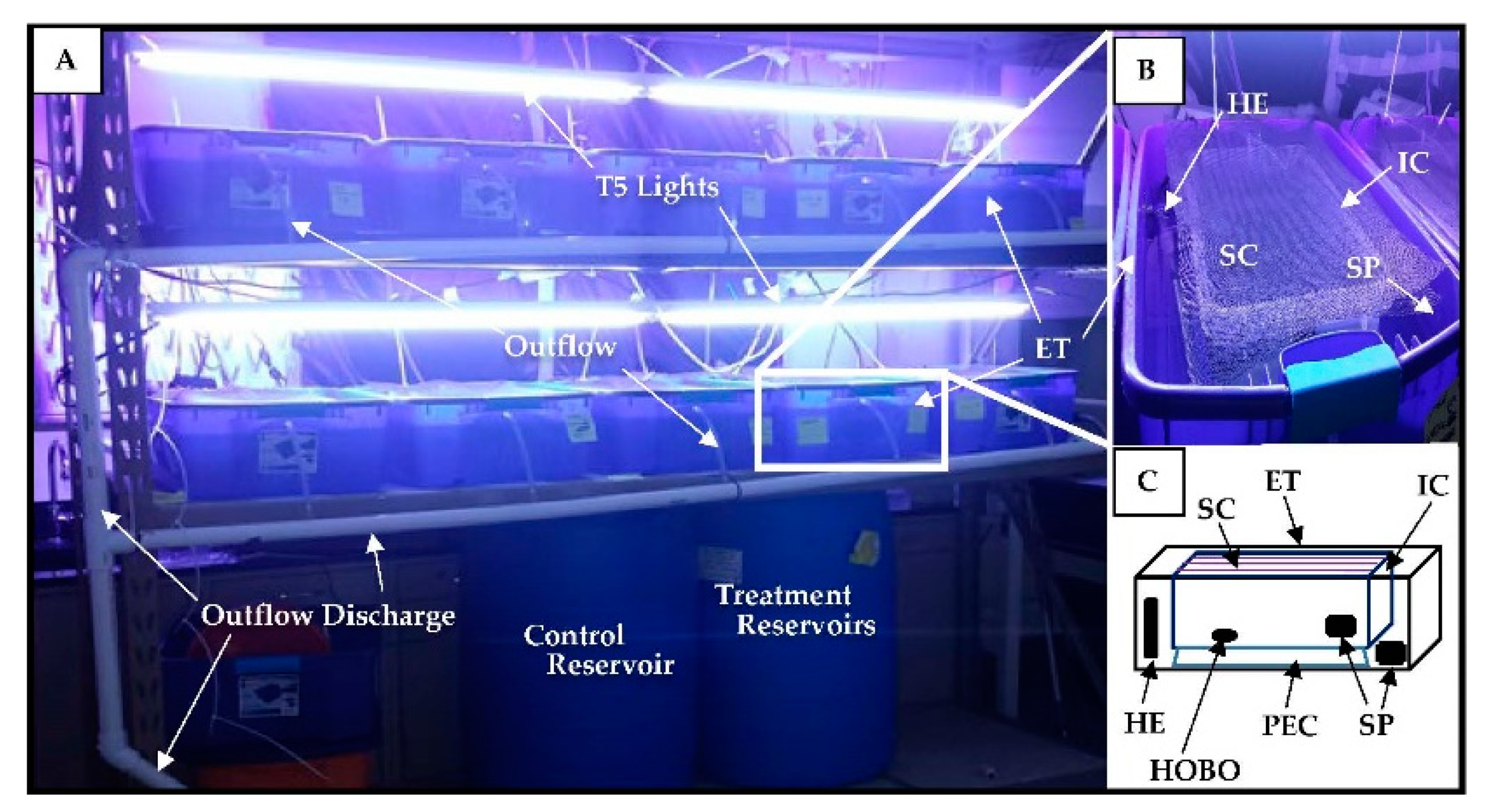 Water 12 01303 g002 Water 12 01303 g002