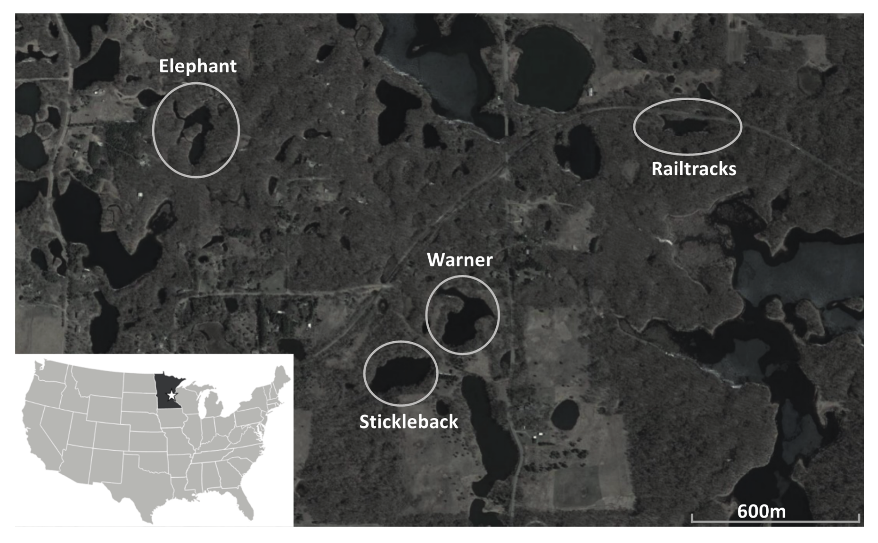 Water 12 01458 g001 Water 12 01458 g001