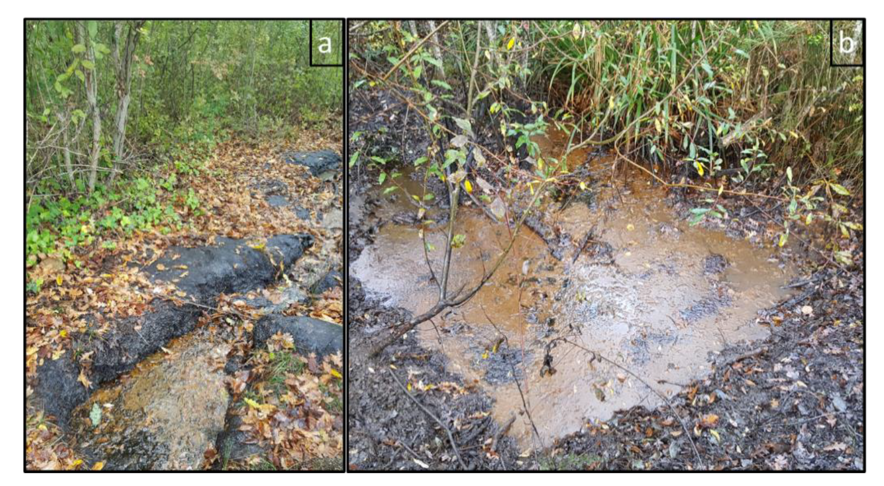 Water 12 01483 g003 Water 12 01483 g003