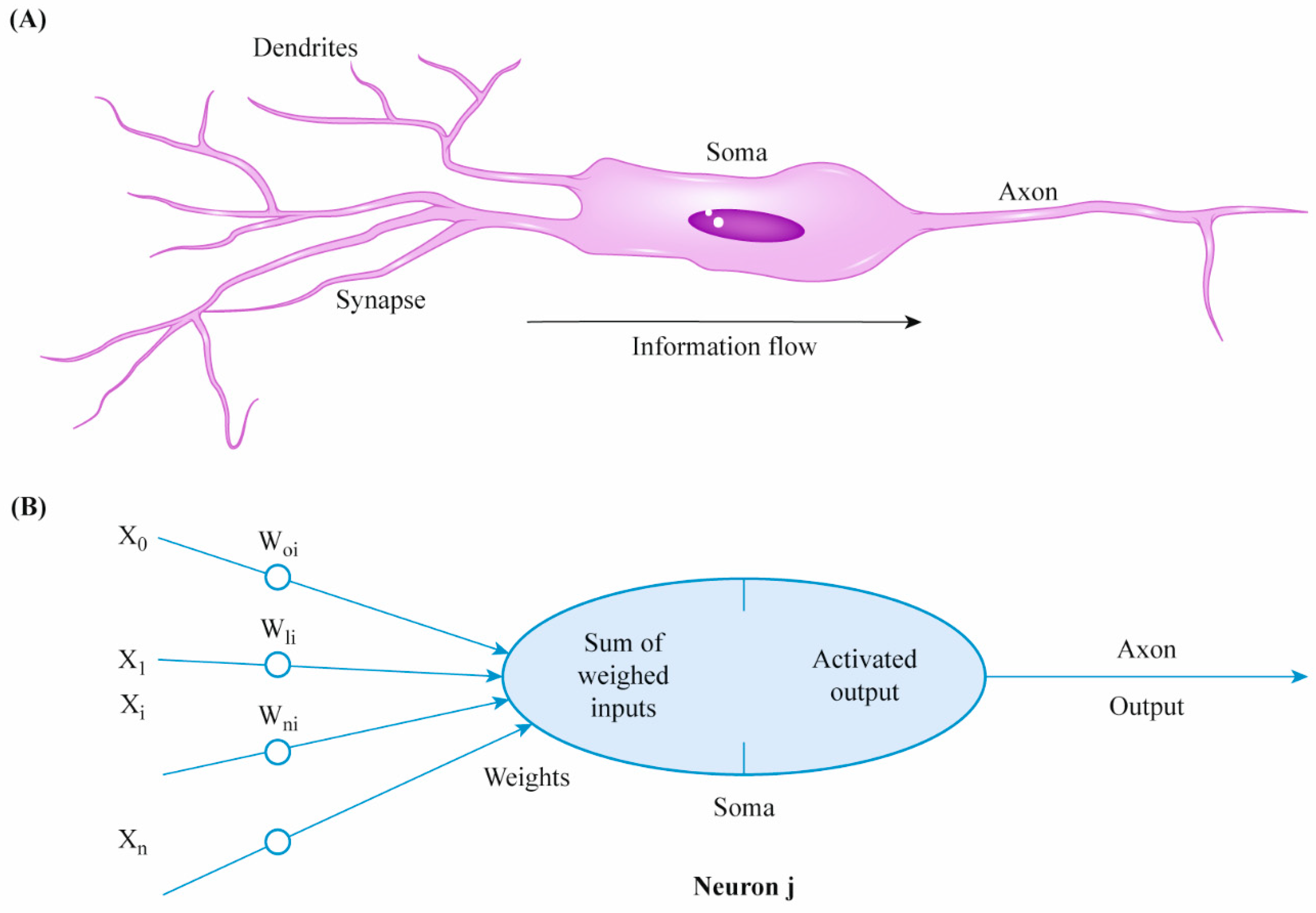 Water 12 01508 g003 Water 12 01508 g003