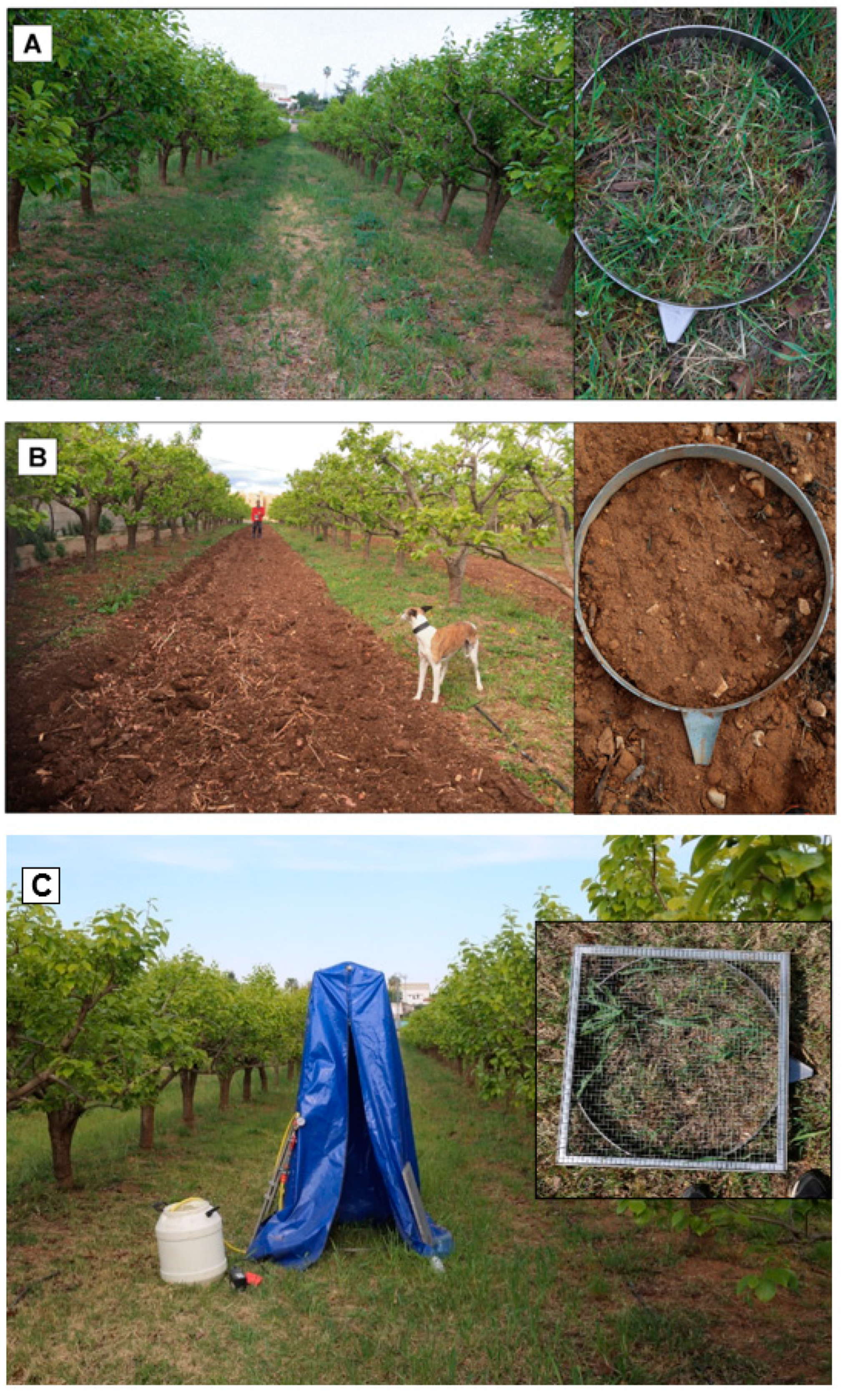 Water 12 01539 g003 Water 12 01539 g003